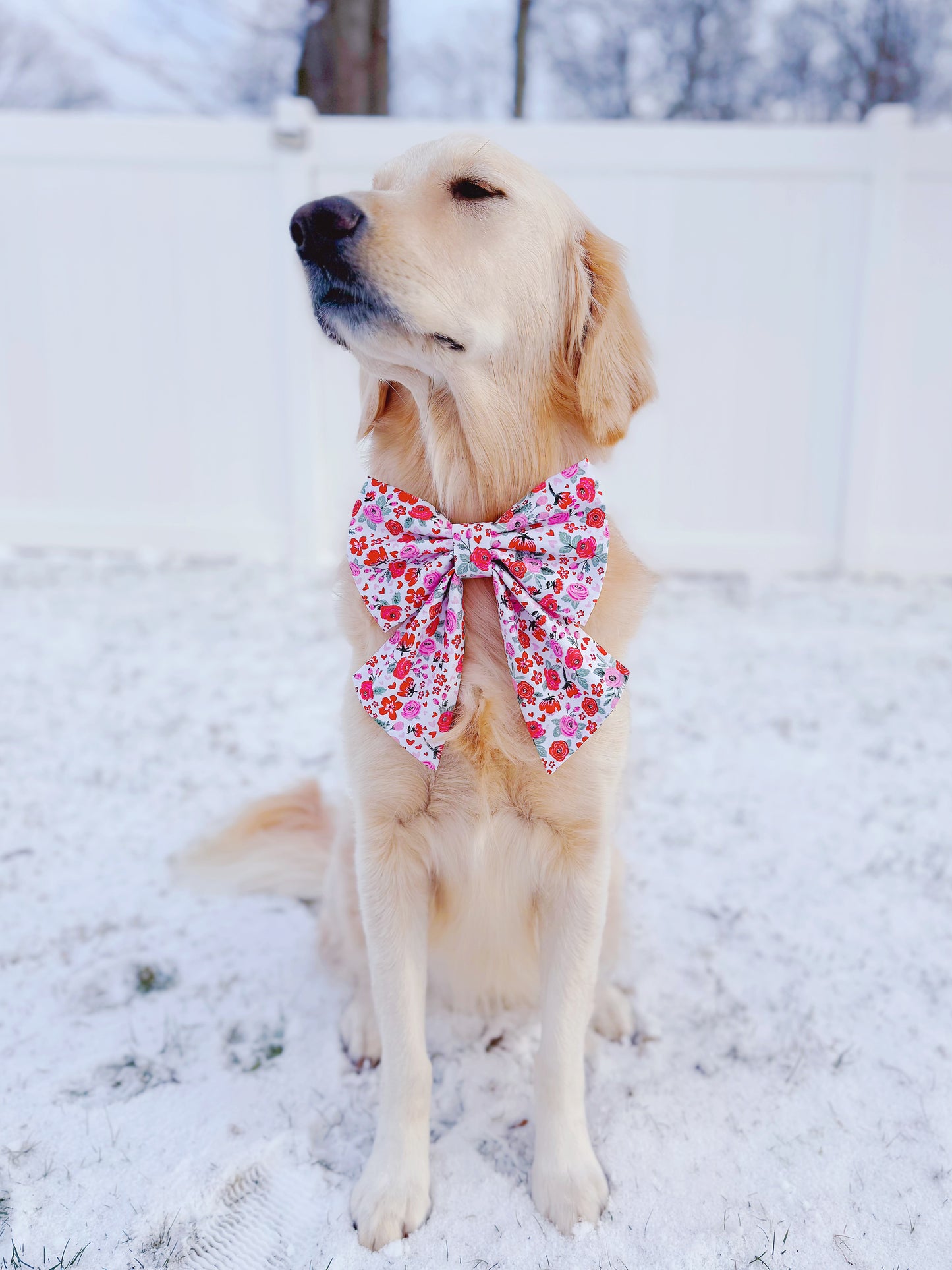 Roses and Hearts Bow