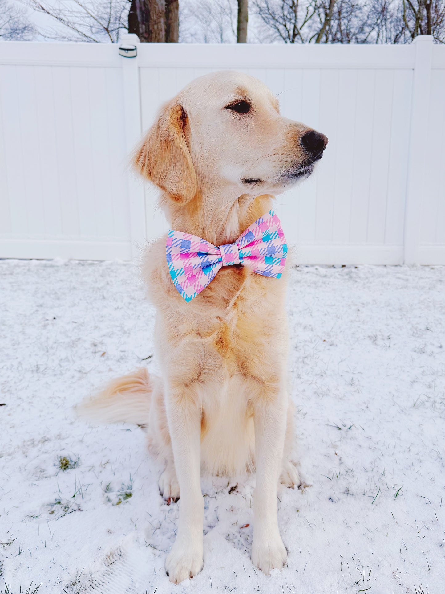 Pink and Blue Plaid Bow