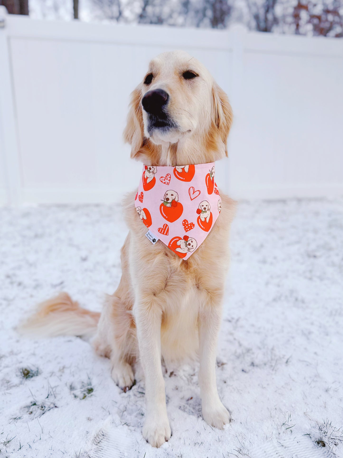 Golden Retriever Love Bandana