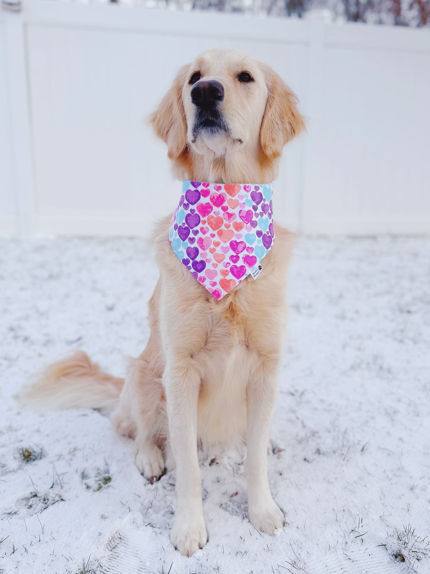 Watercolor Hearts Flannel Bandana
