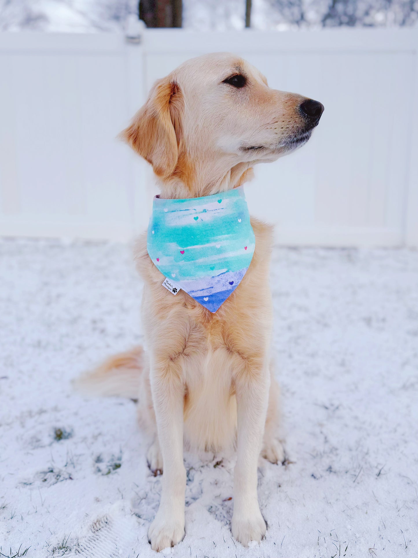 Watercolor Hearts Flannel Bandana