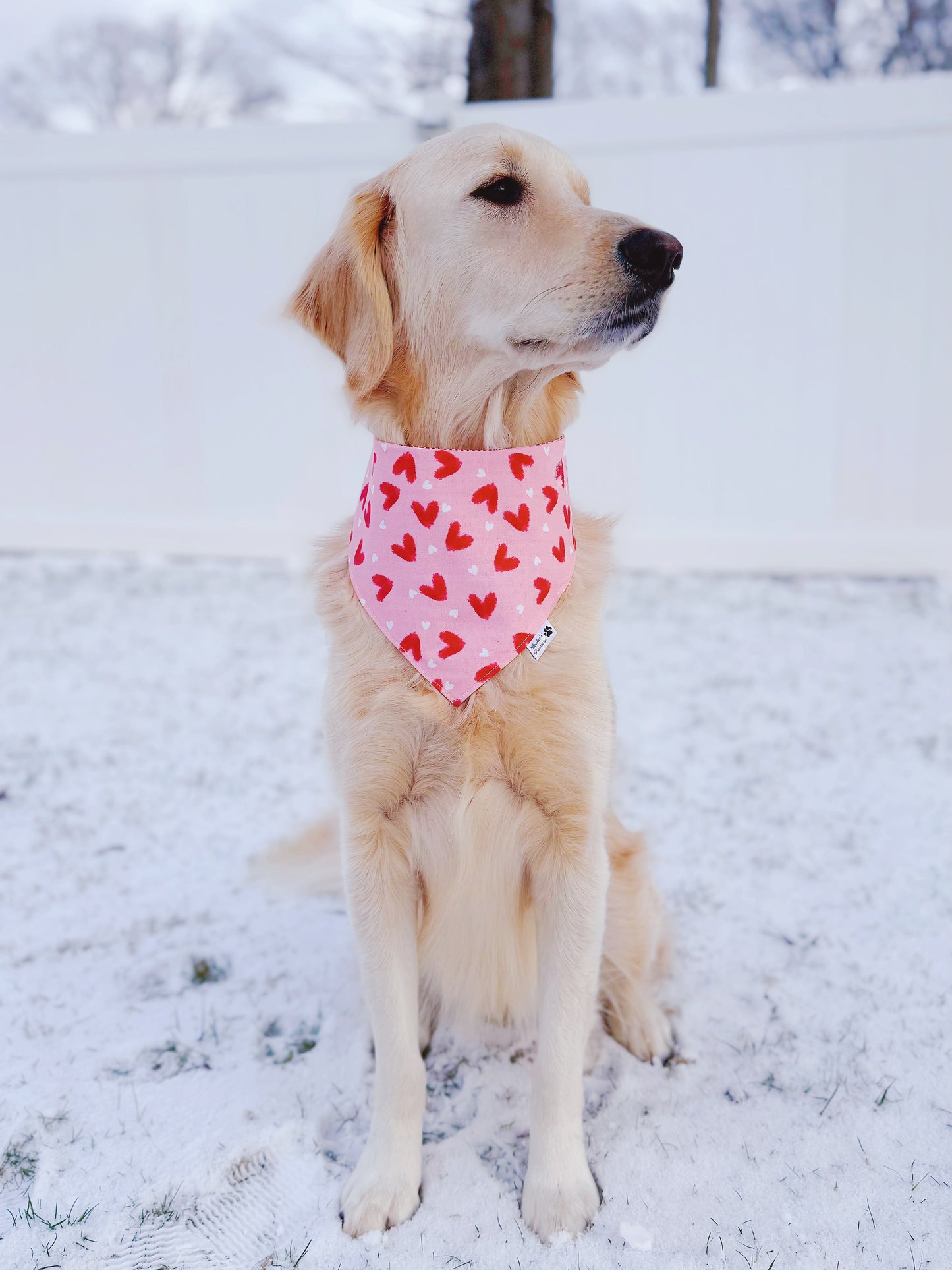 Valentine Hearts And I Love You Script Bandana