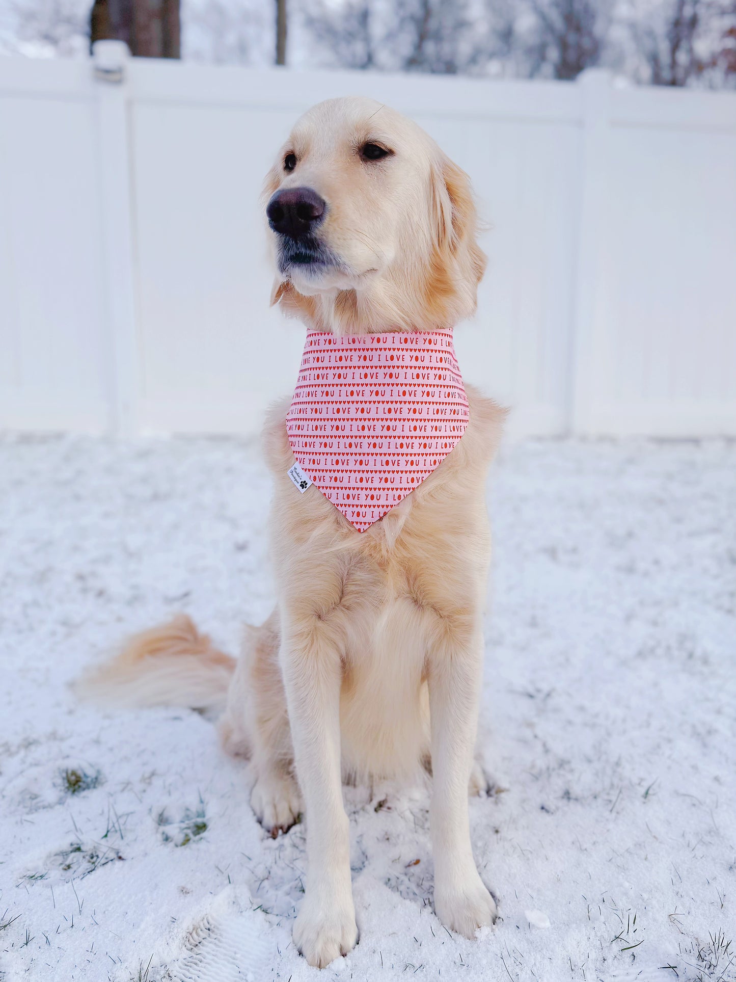 Valentine Hearts And I Love You Script Bandana