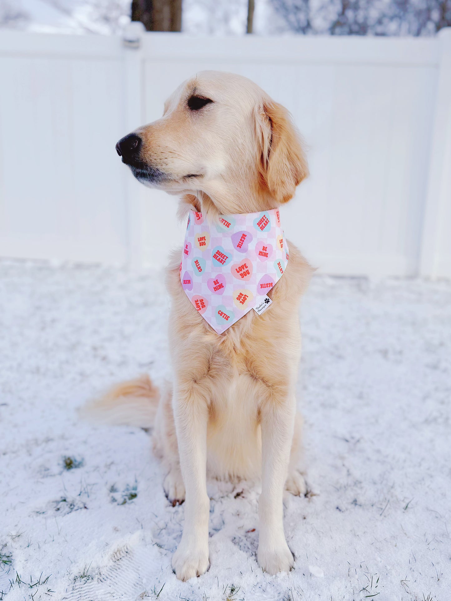 Candy Hearts Bandana