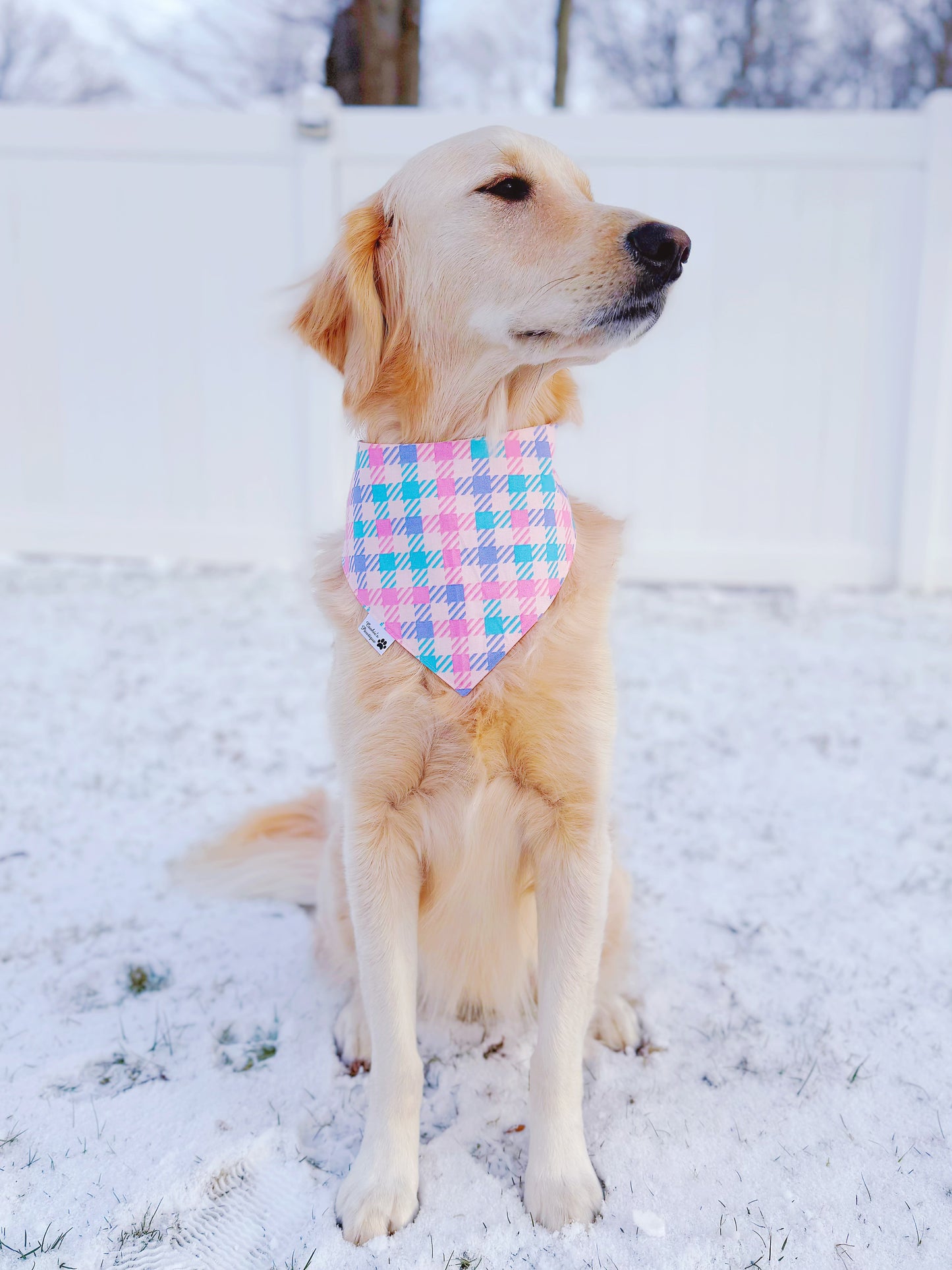 Candy Hearts Bandana
