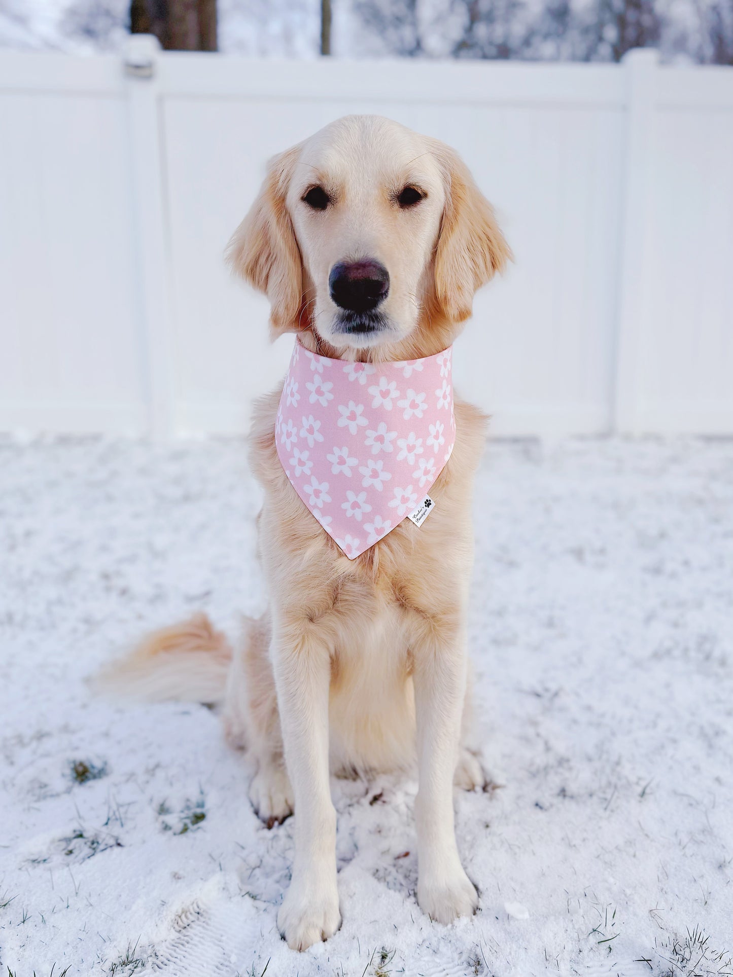 Pastel Daisy Hearts Bandana