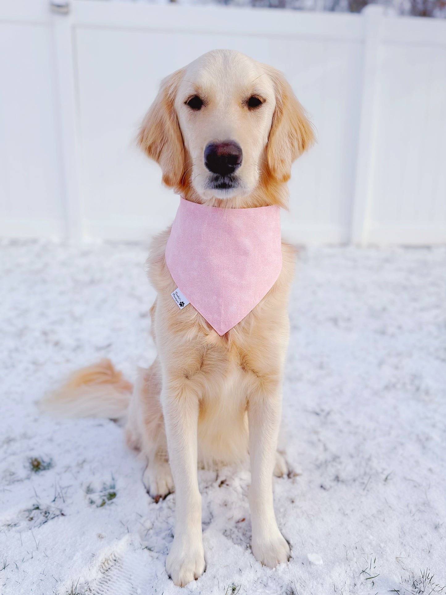 Pastel Daisy Hearts Bandana