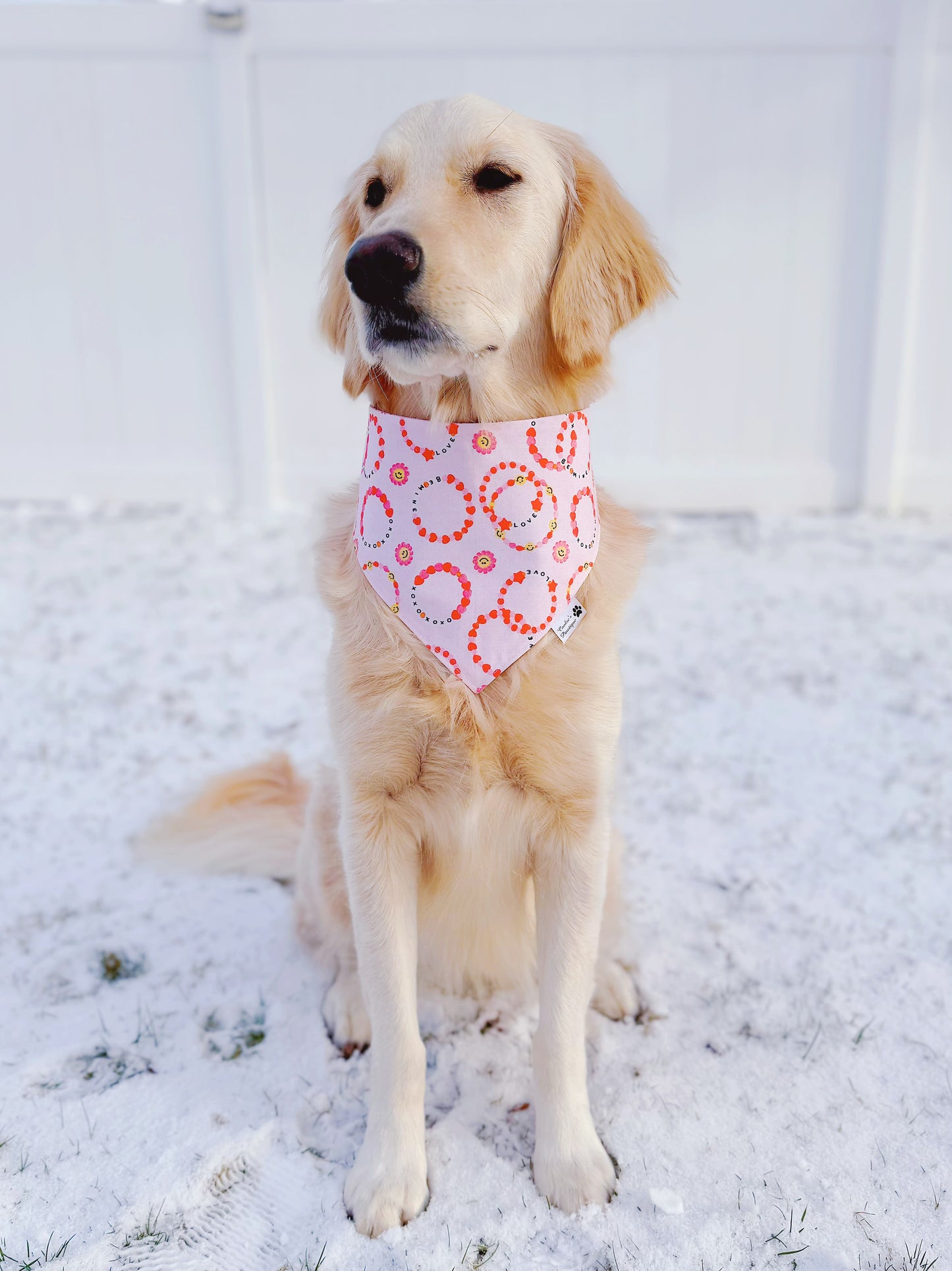 Valentine Bracelet Bandana