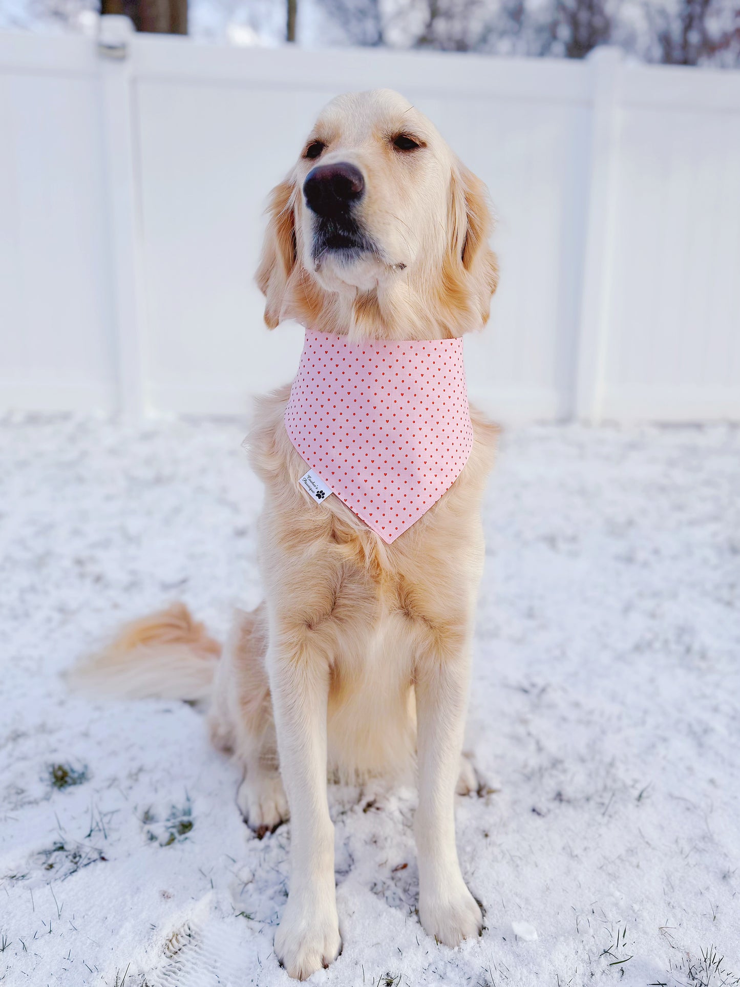Valentine Bracelet Bandana