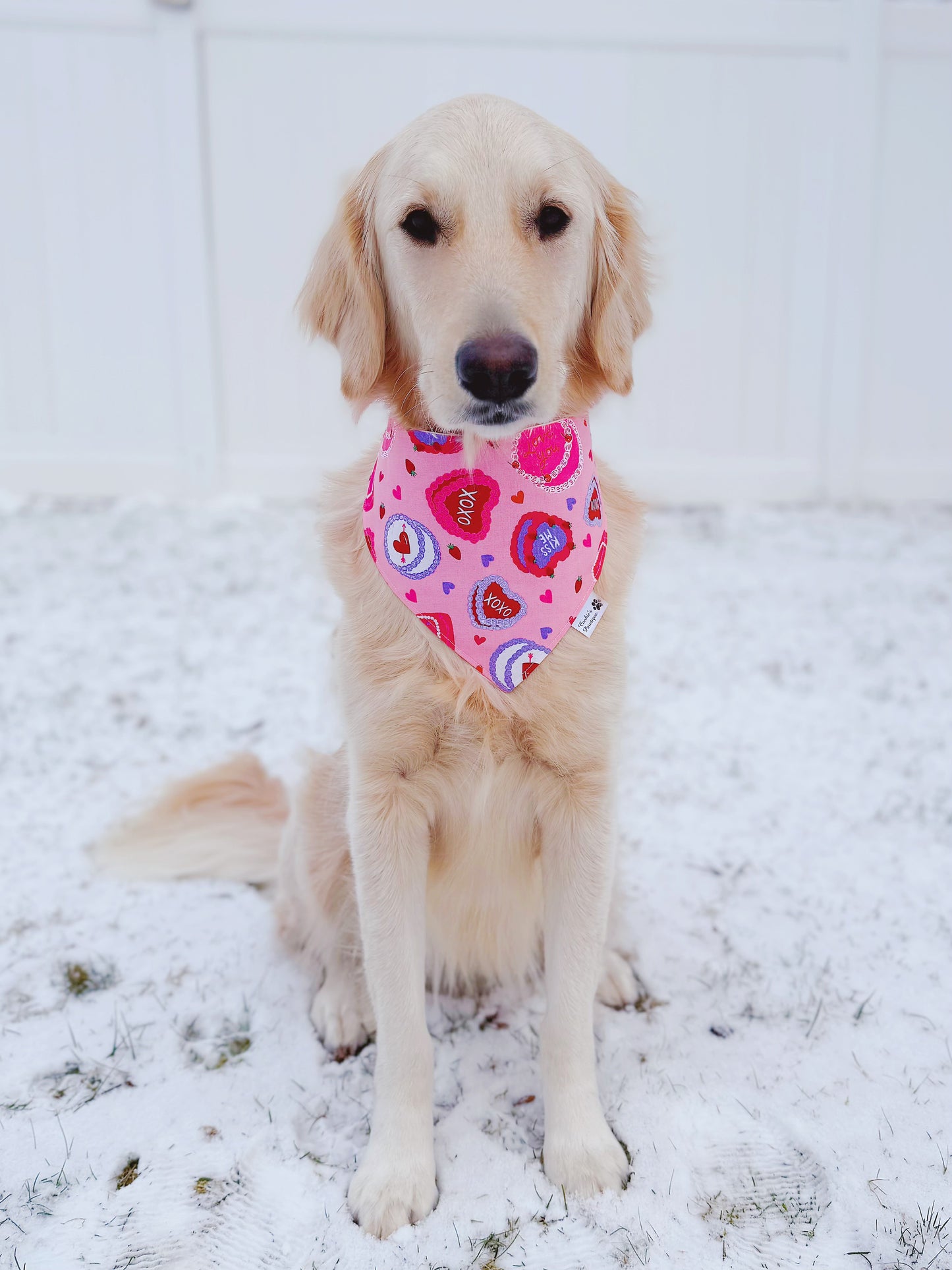 Heart Cakes Bandana