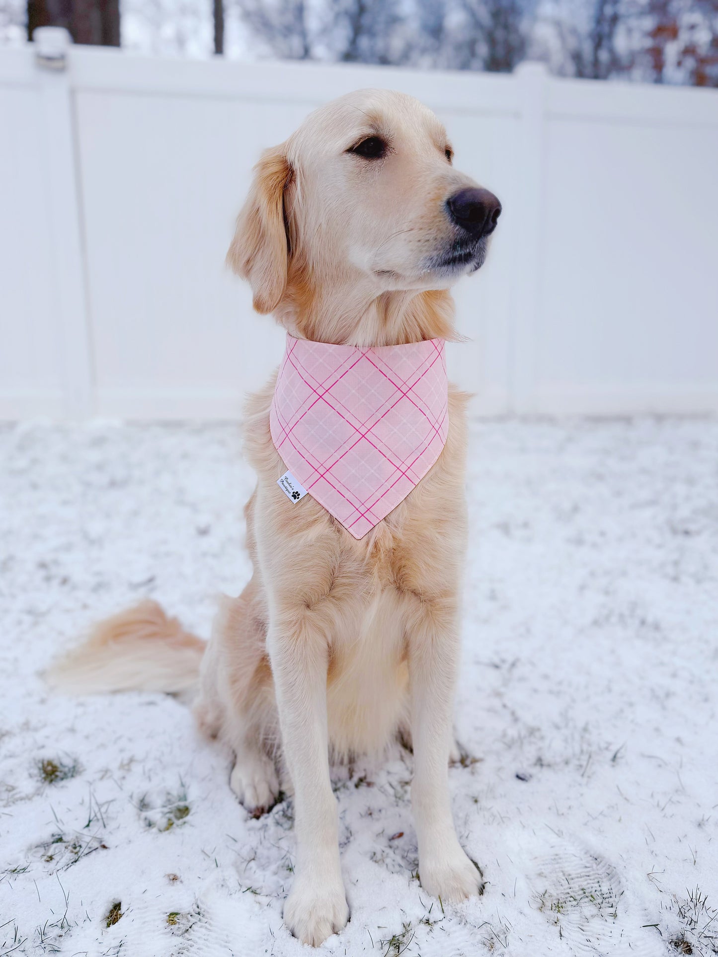 Heart Cakes Bandana