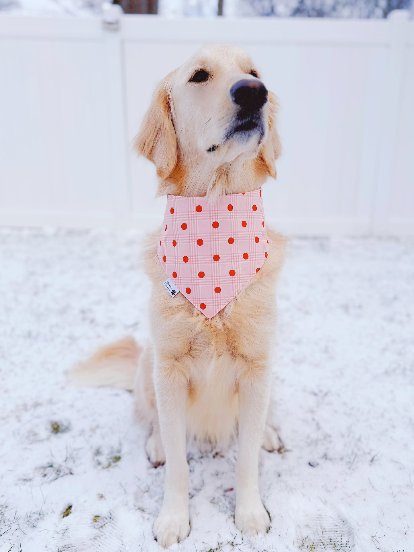 Chocolate Covered Strawberries Bandana