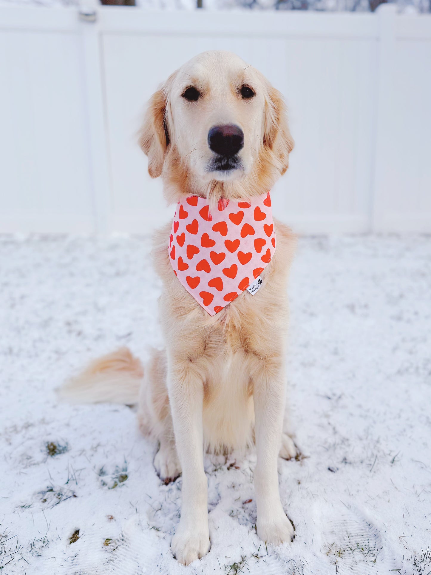 Sweethearts and Red Gingham Bandana