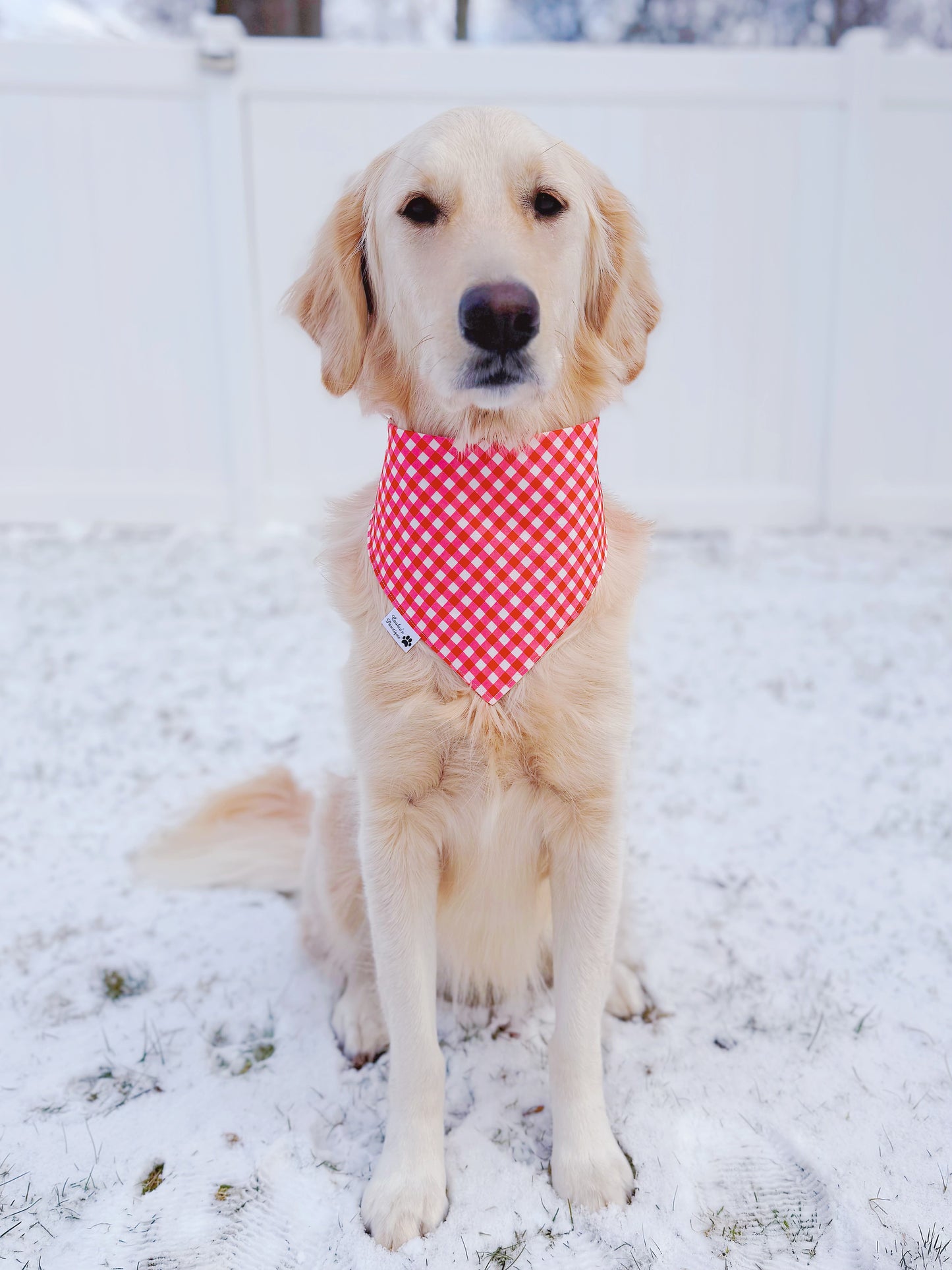 Sweethearts and Red Gingham Bandana