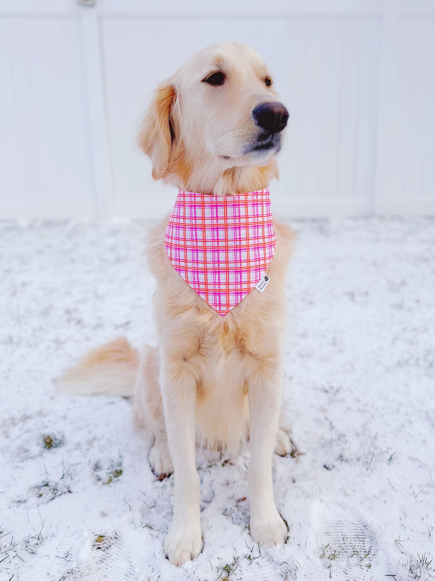 Valentine Watercolor Plaid and Hearts Bandana