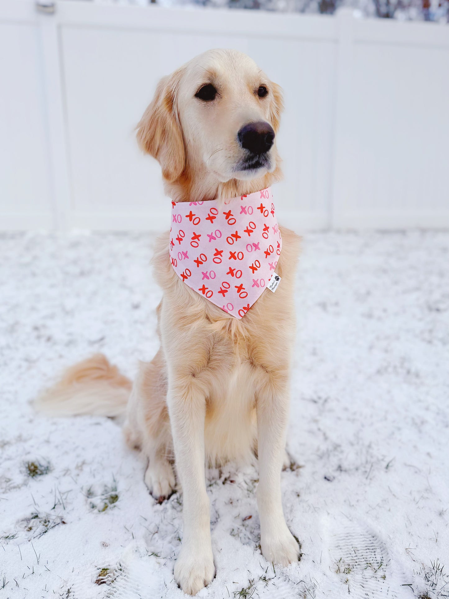 XO Hugs and Kisses Bandana