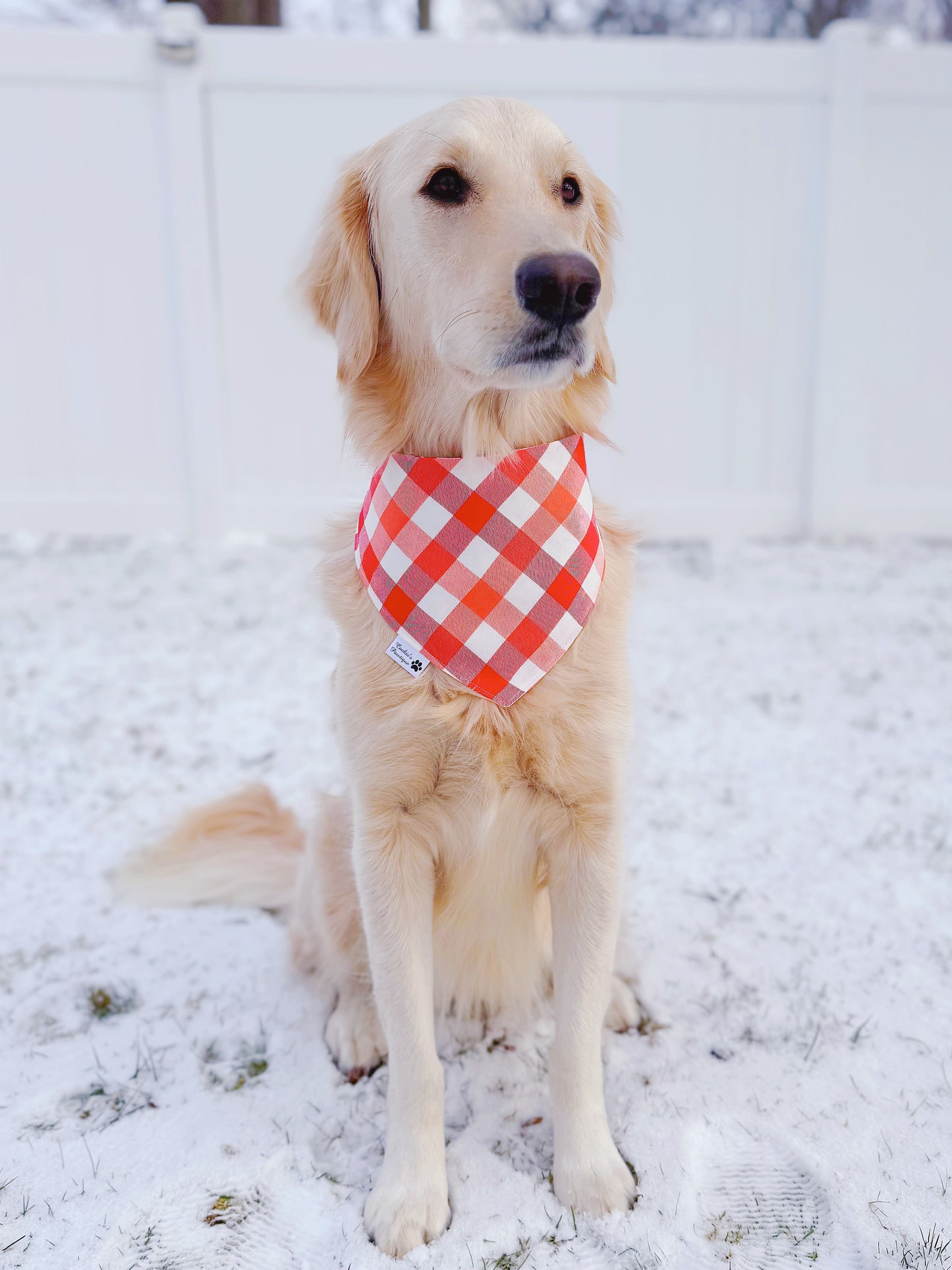 XO Hugs and Kisses Bandana