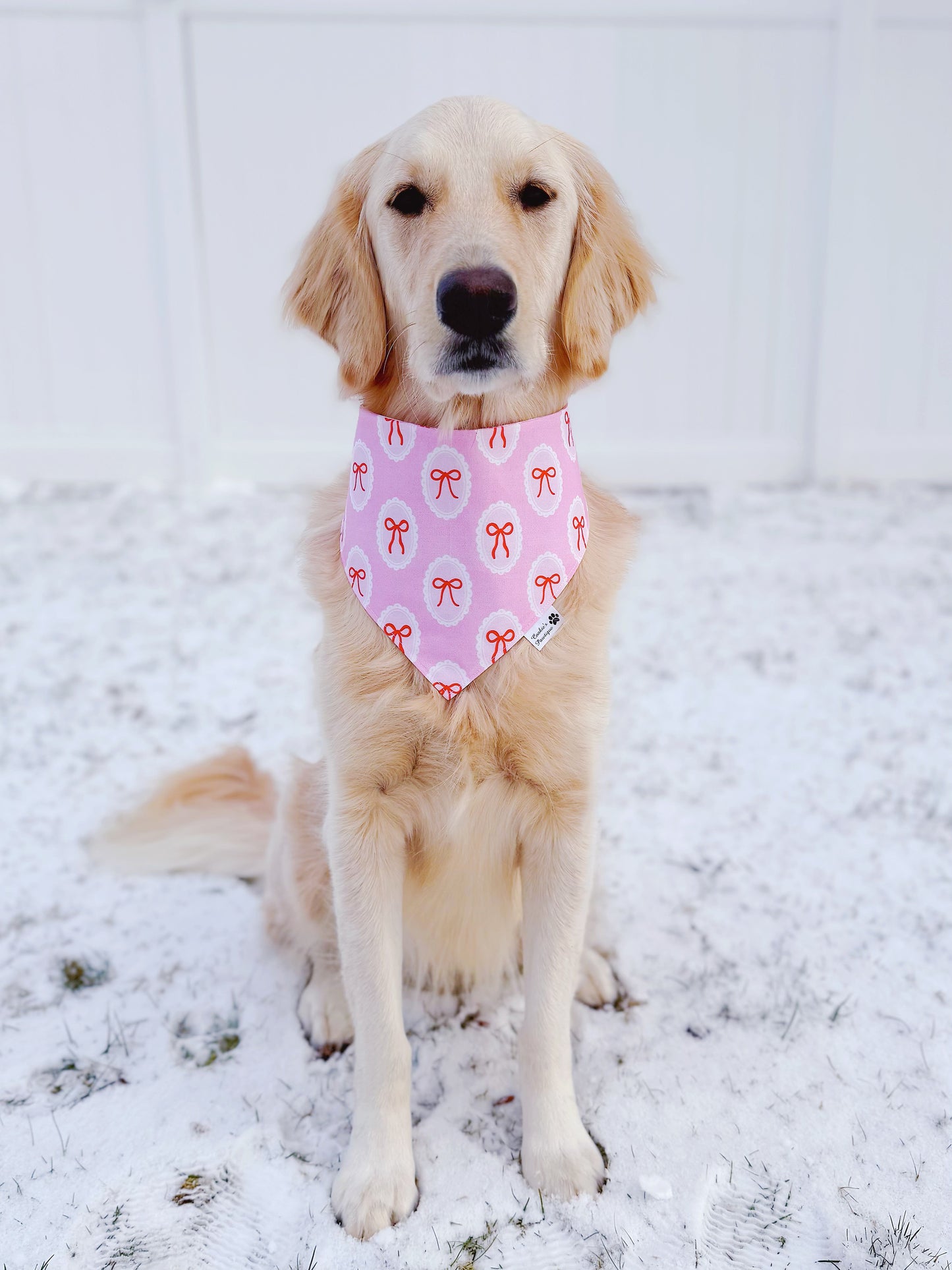 Bows and Hearts Bandana
