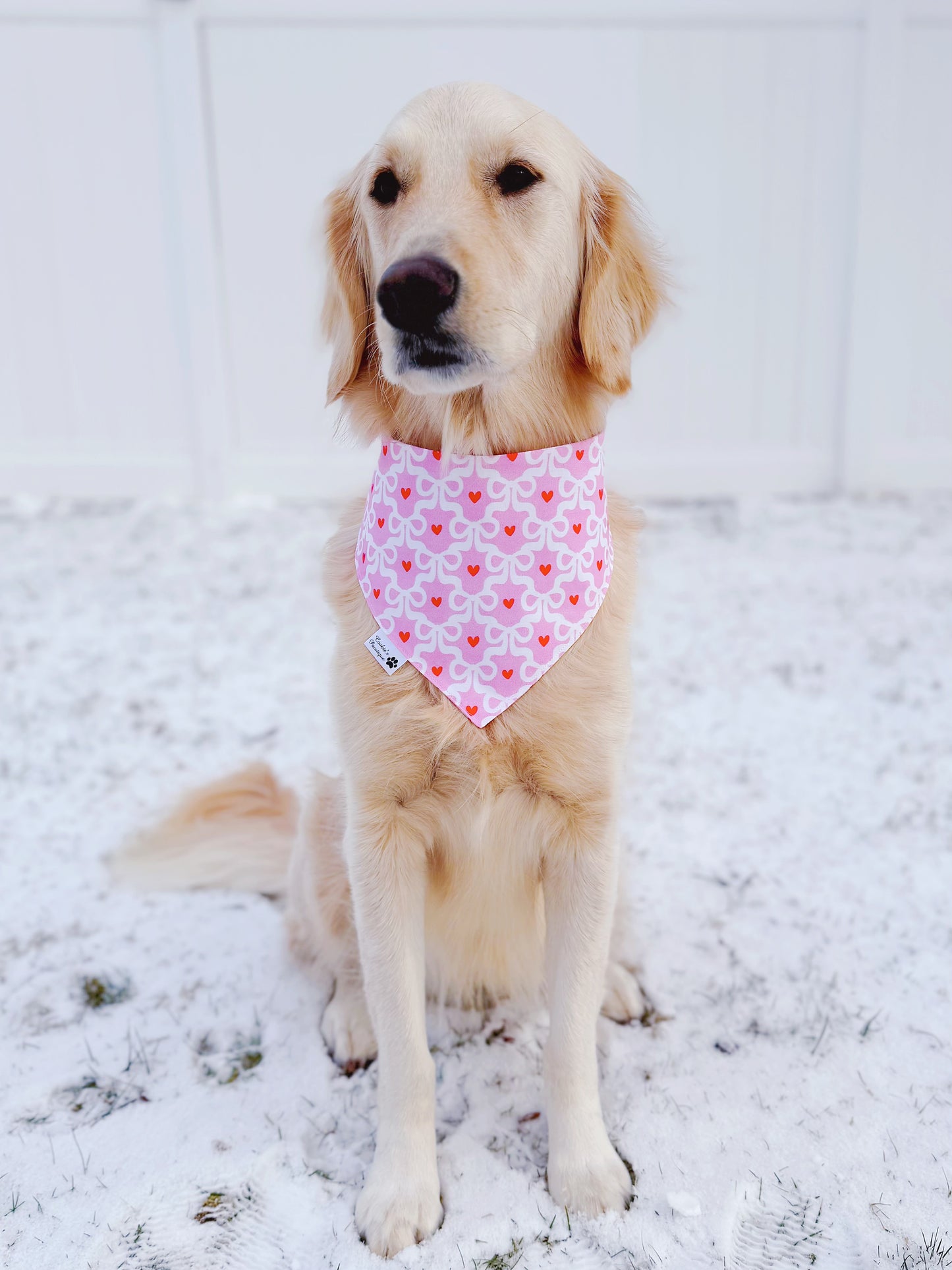 Bows and Hearts Bandana