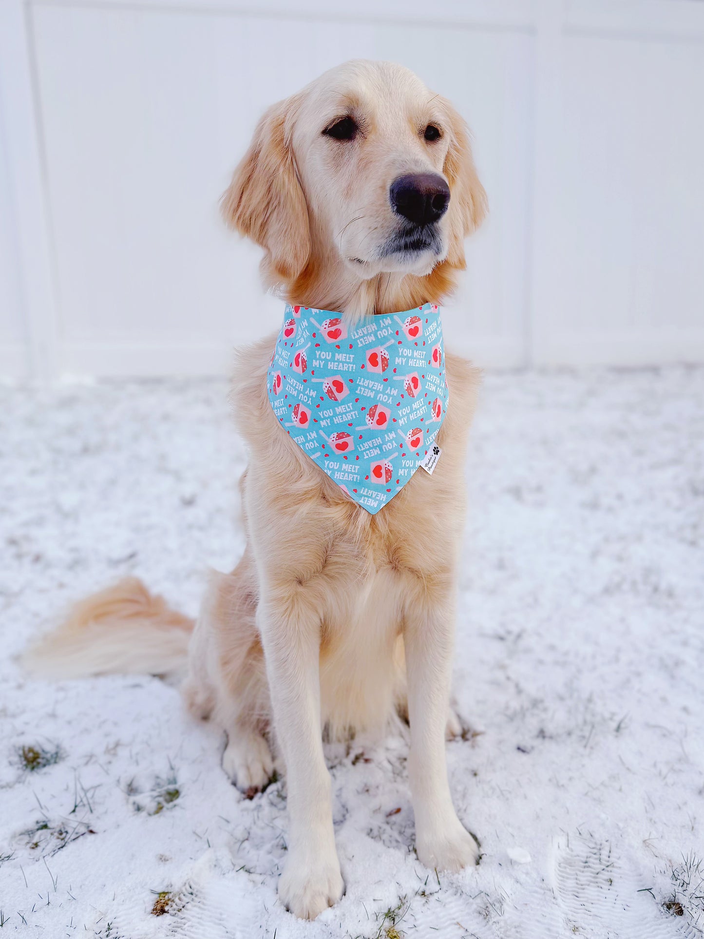 You Melt My Heart Bandana
