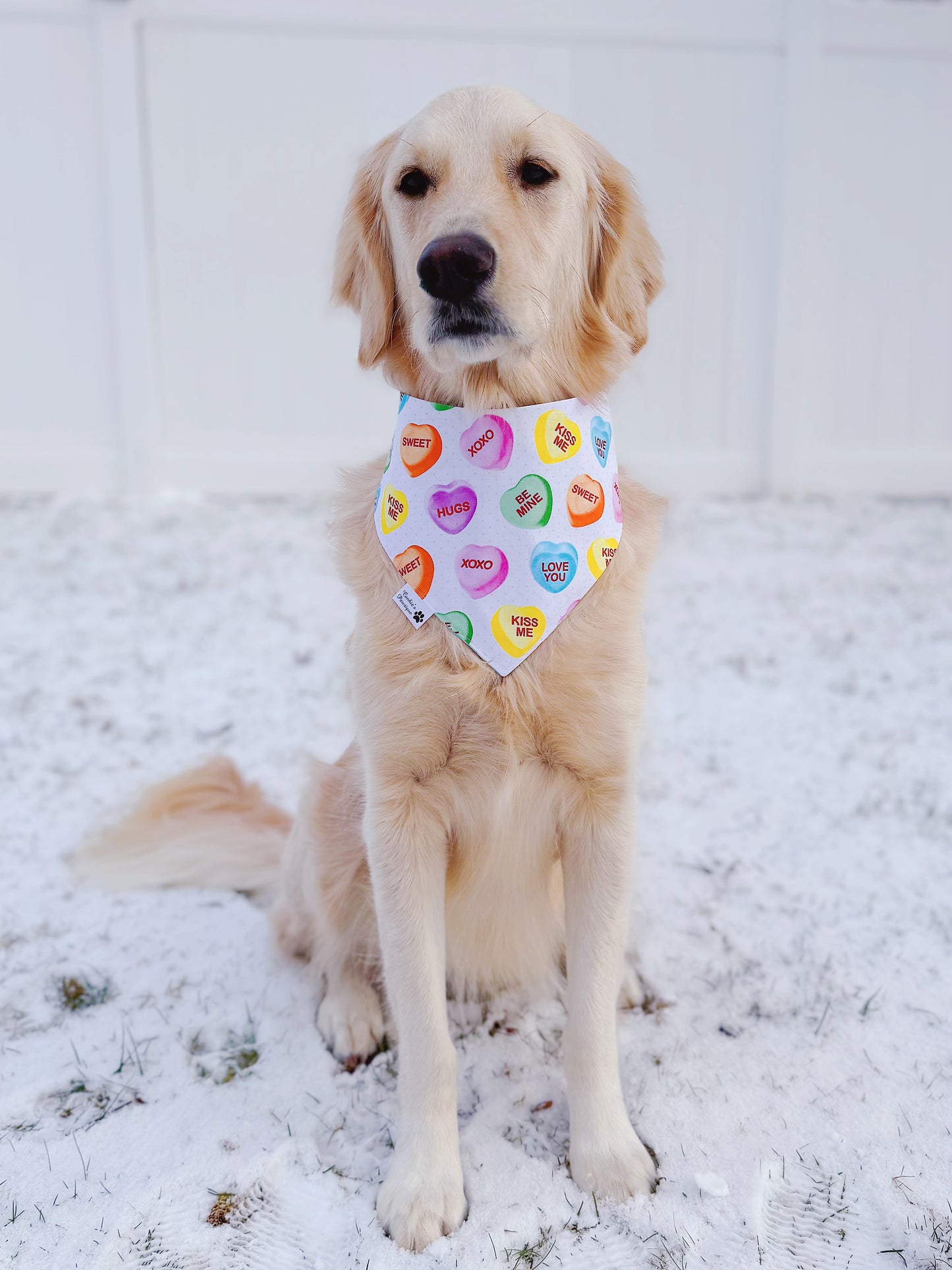 You Melt My Heart Bandana