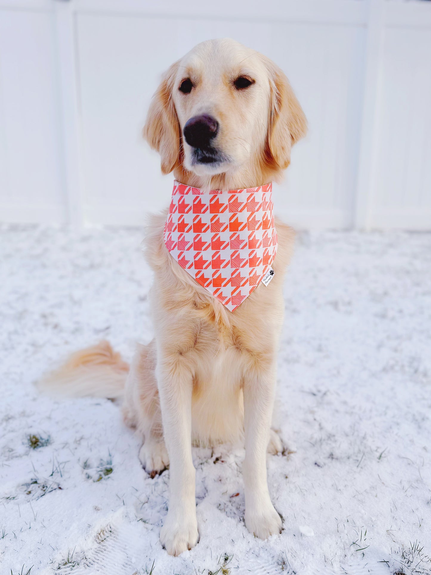 Heart Houndstooth and Terrazzo Bandana