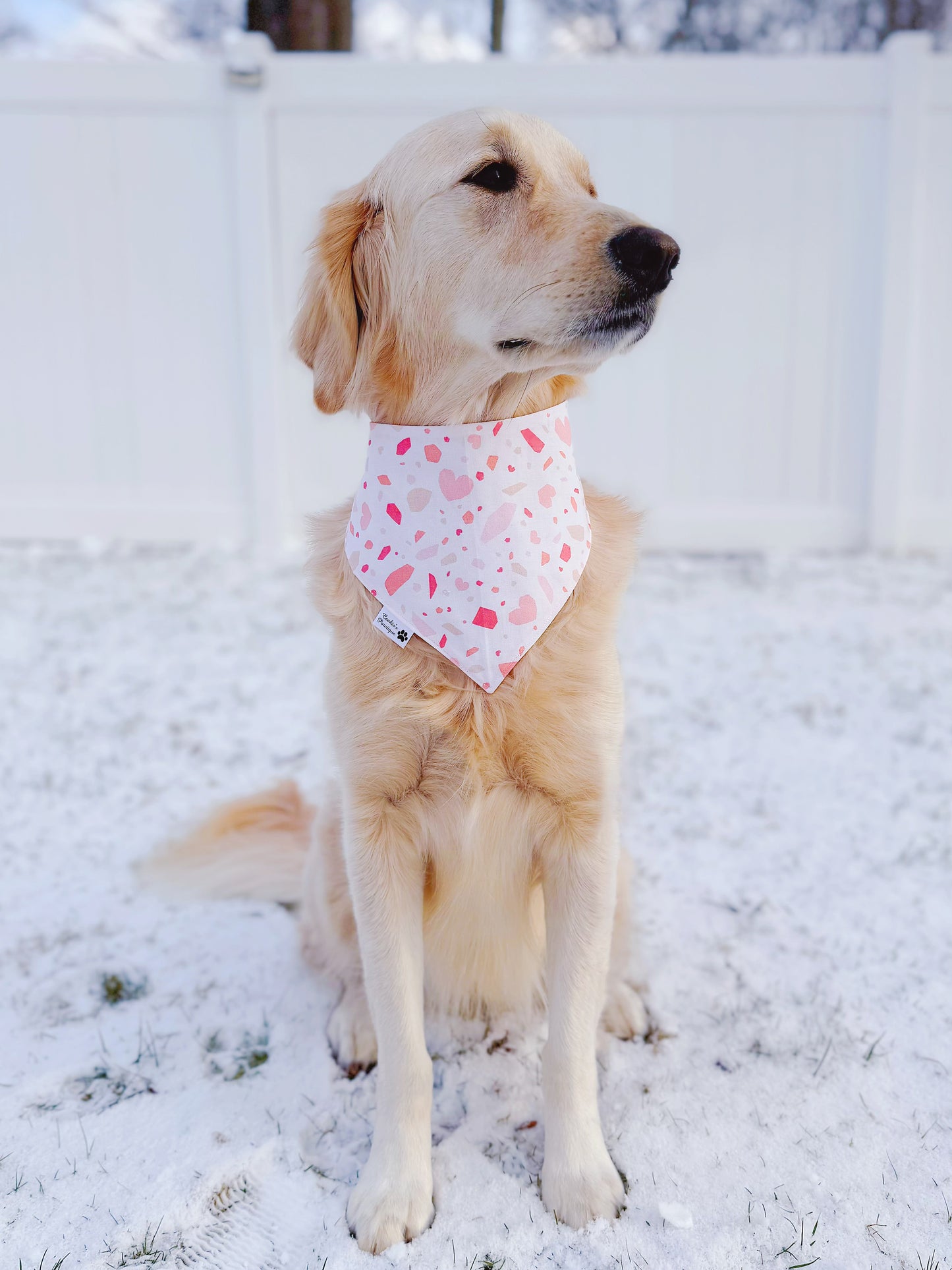 Heart Houndstooth and Terrazzo Bandana