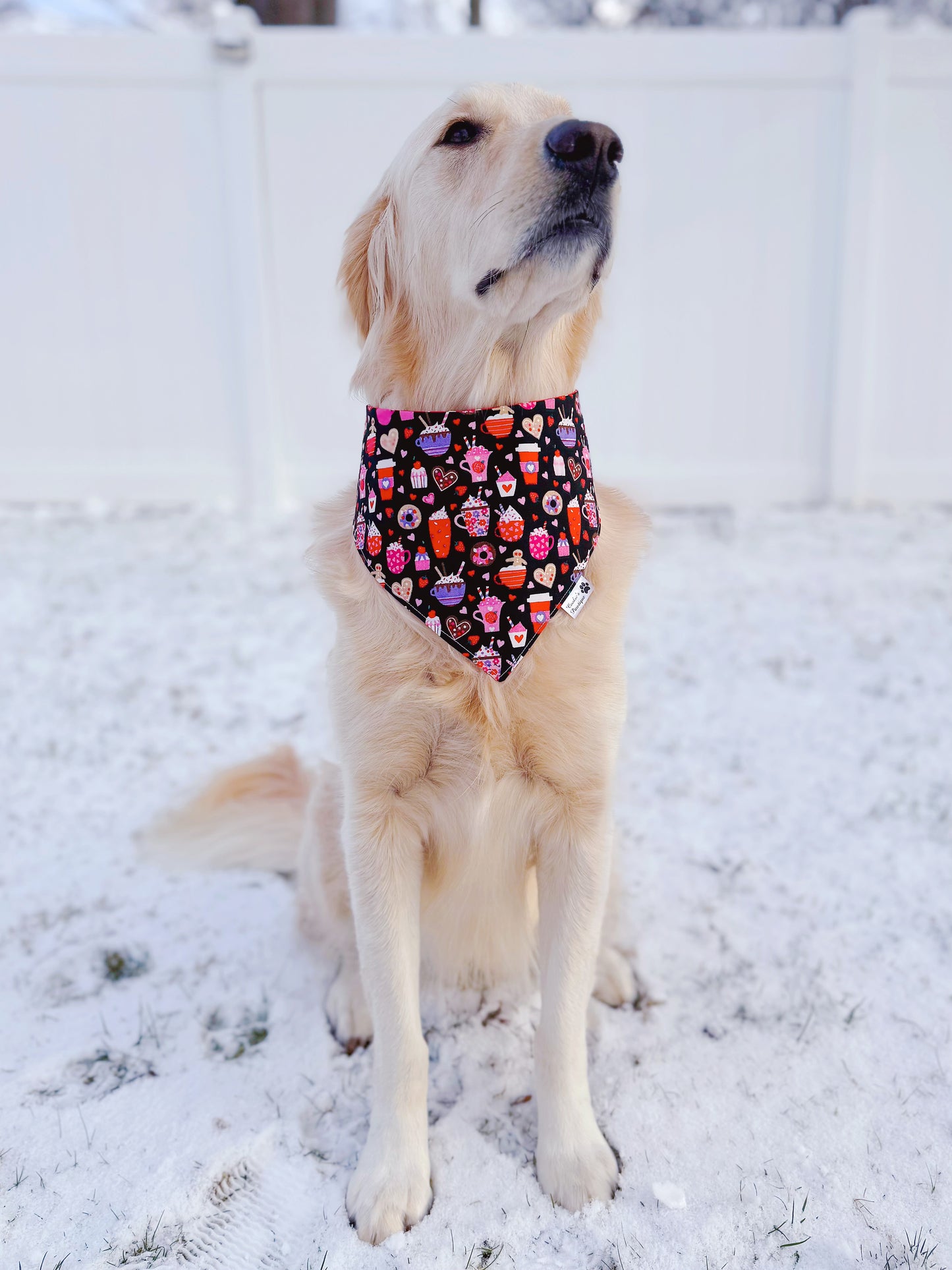 Valentine’s Day Sweets Bandana