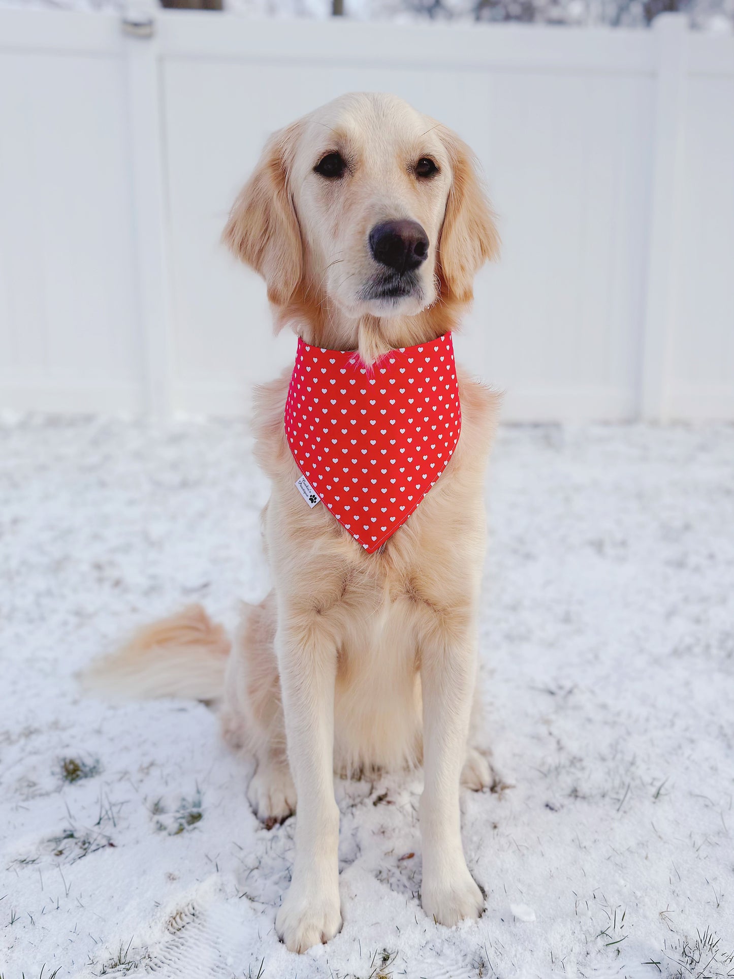 Valentine’s Day Sweets Bandana