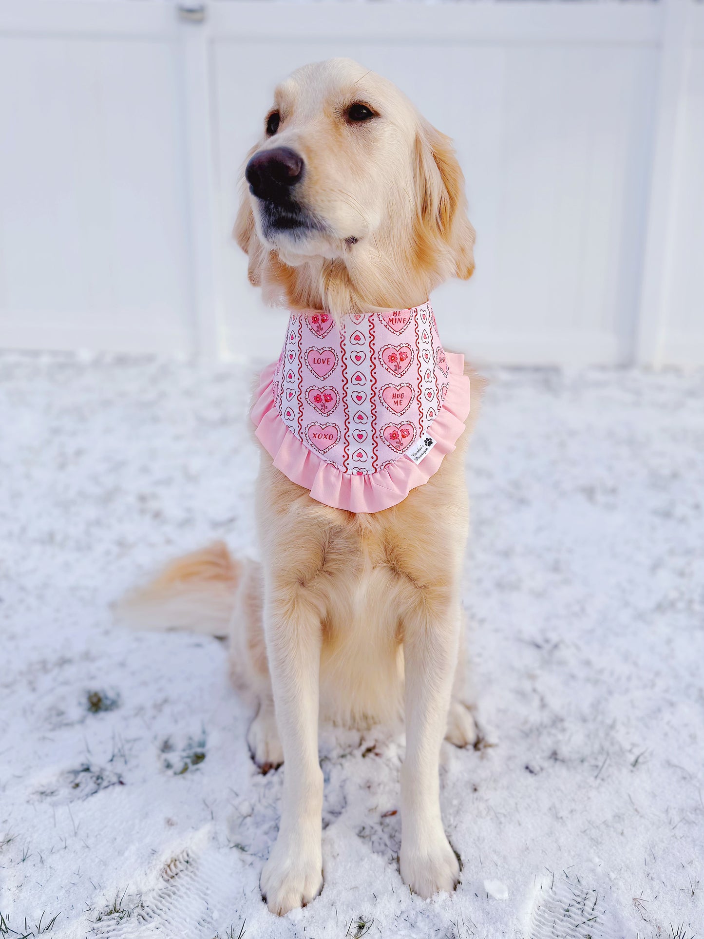 Valentine Heart Stripes and Checks Bandana
