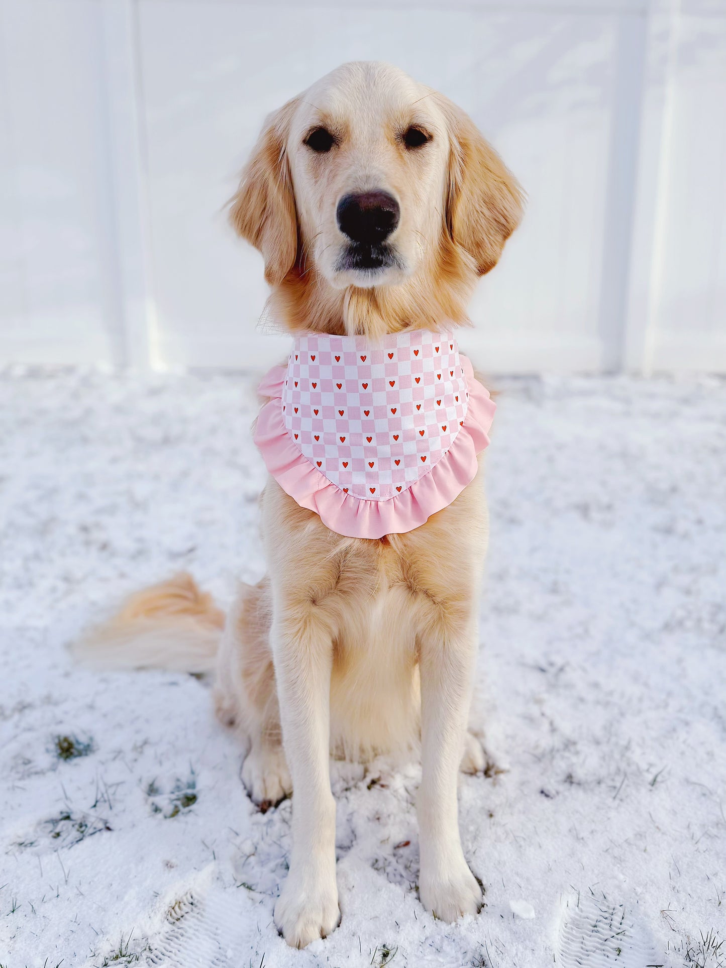 Valentine Heart Stripes and Checks Bandana