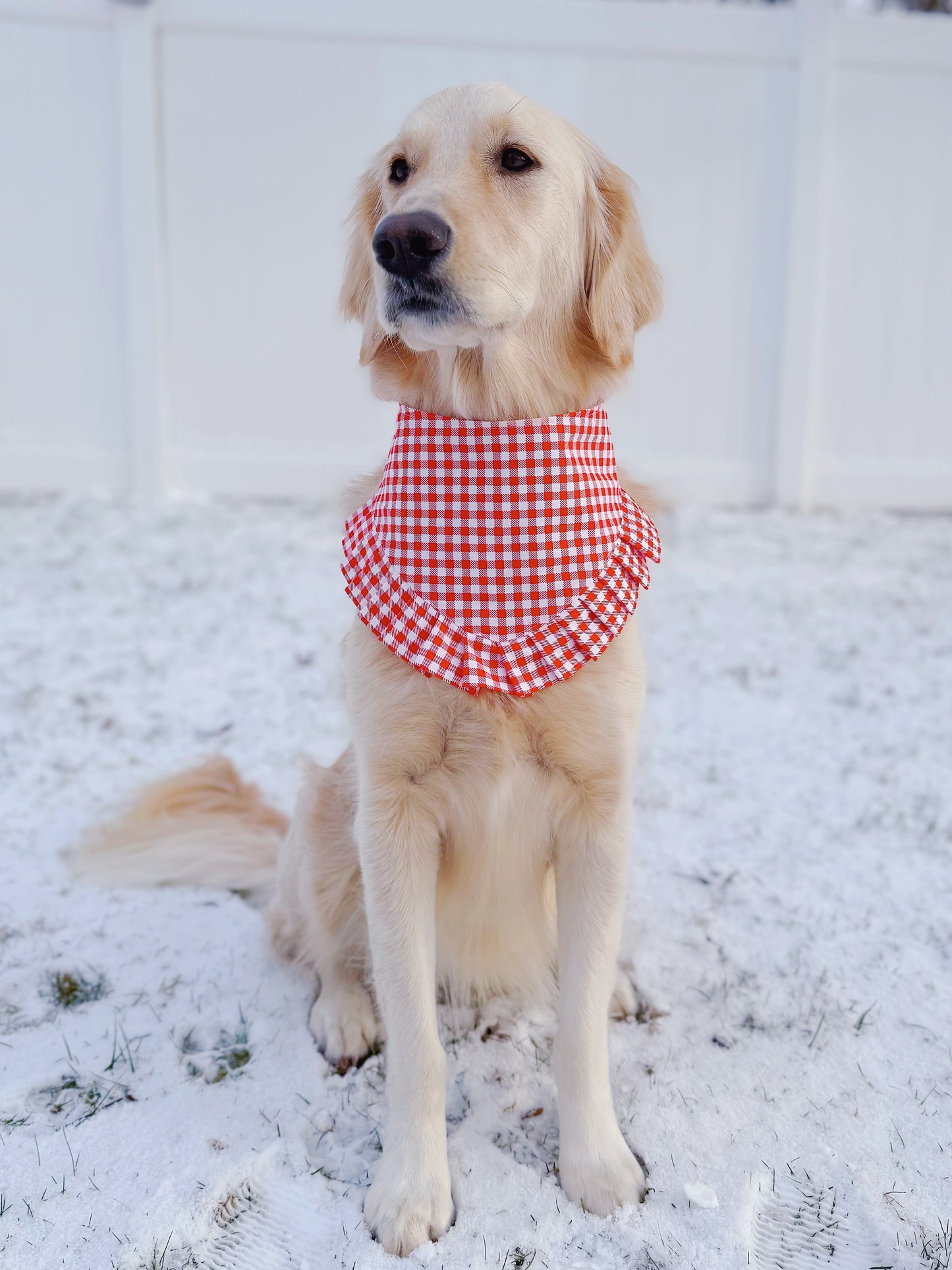 Valentine Patchwork Bandana