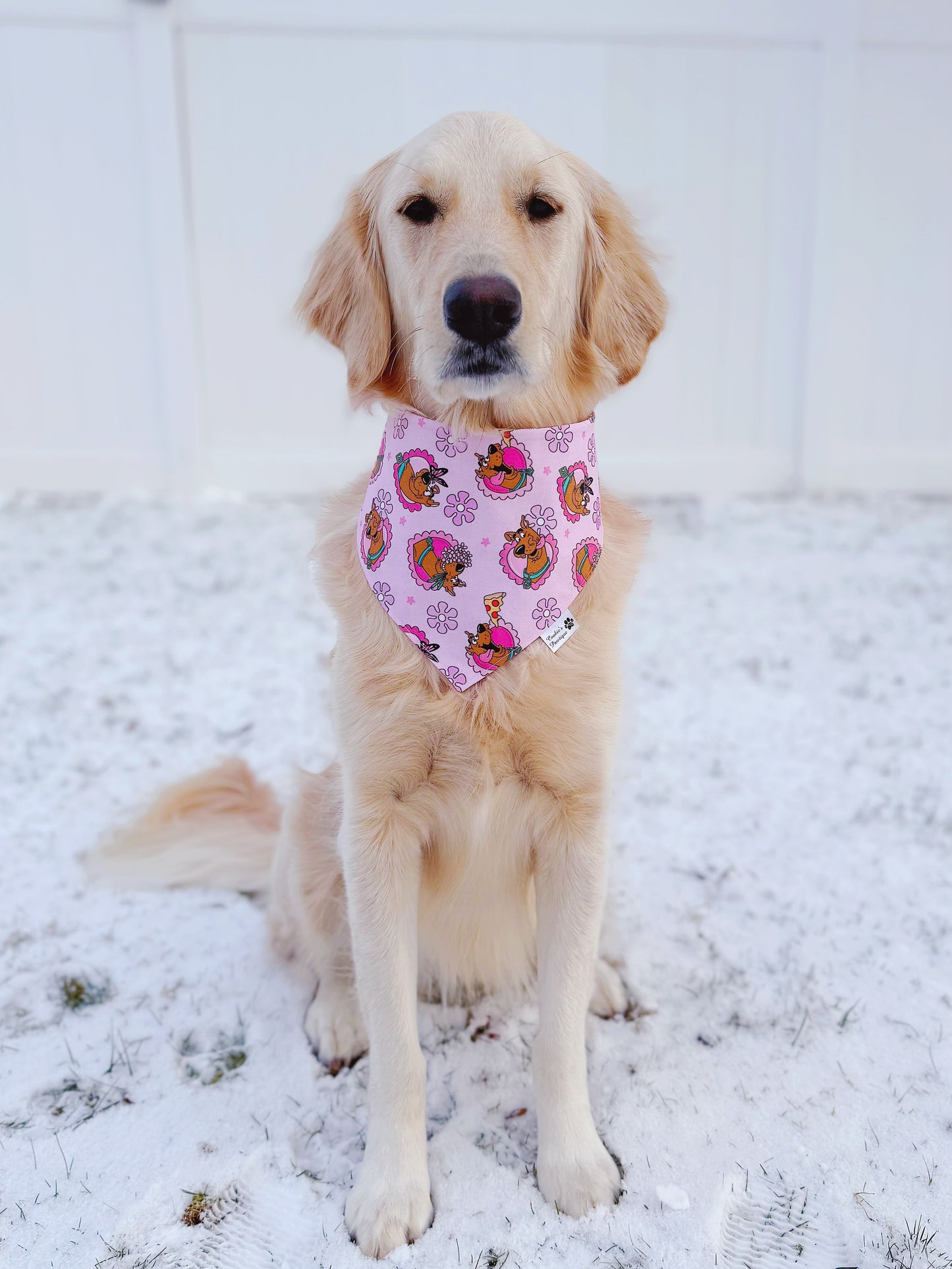 Scooby Valentine Bandana