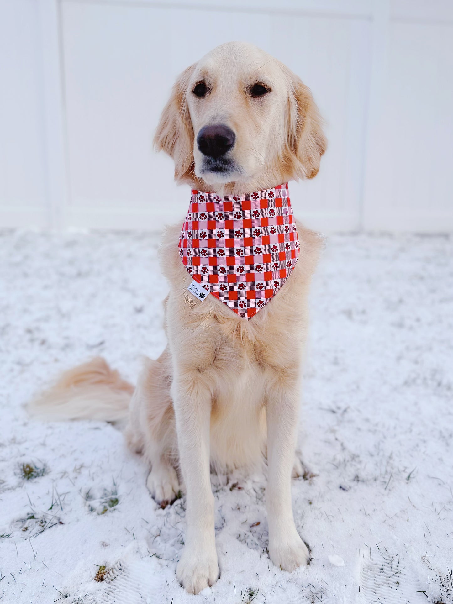 Scooby Valentine Bandana