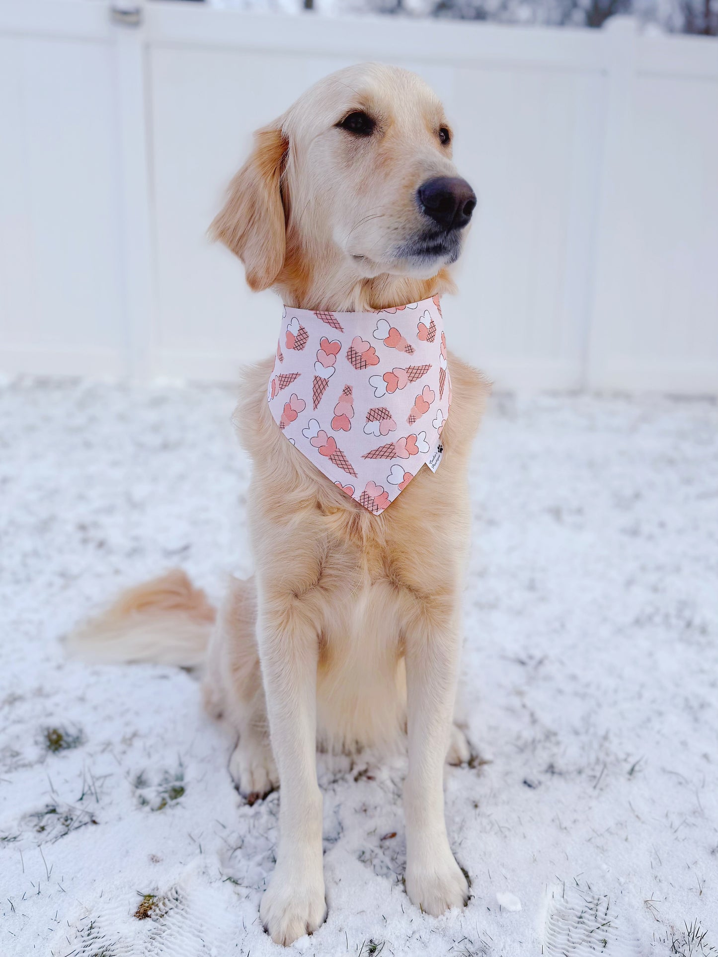Ice Cream Cone Hearts Bandana