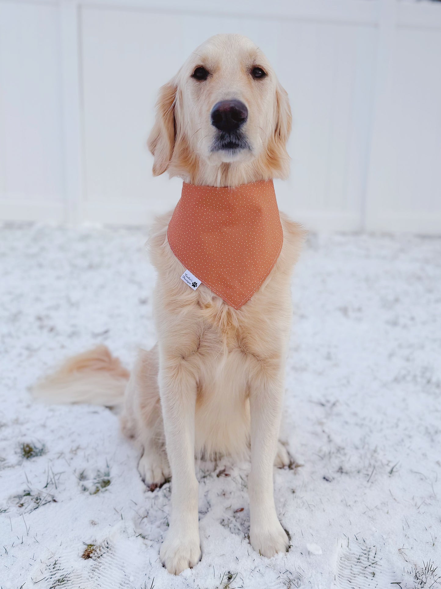 Ice Cream Cone Hearts Bandana