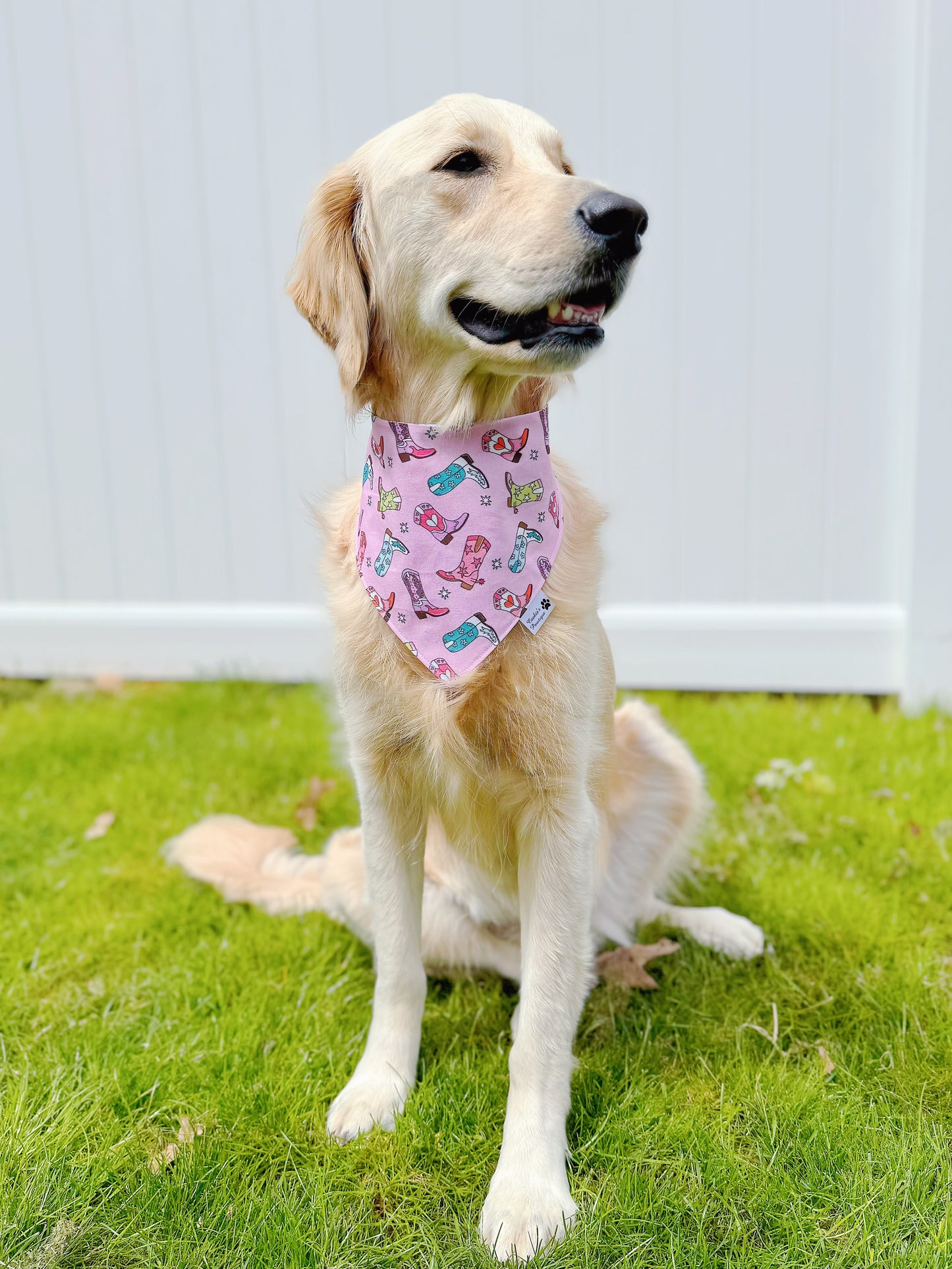 Howdy And Era Bandana