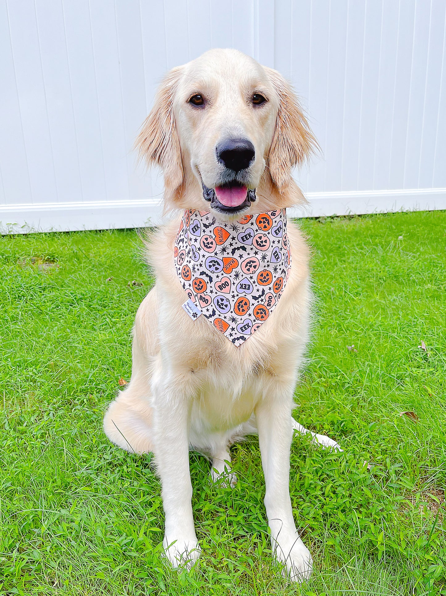 Halloween Cute Candy Ghost Bandana