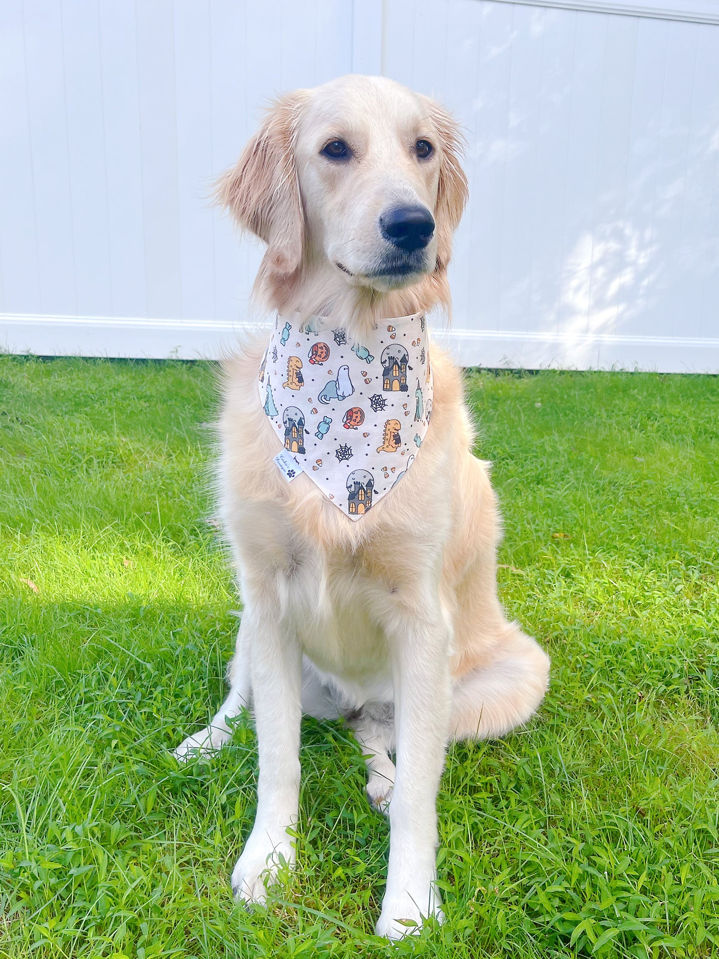 Happy Dinos In Halloween Bandana