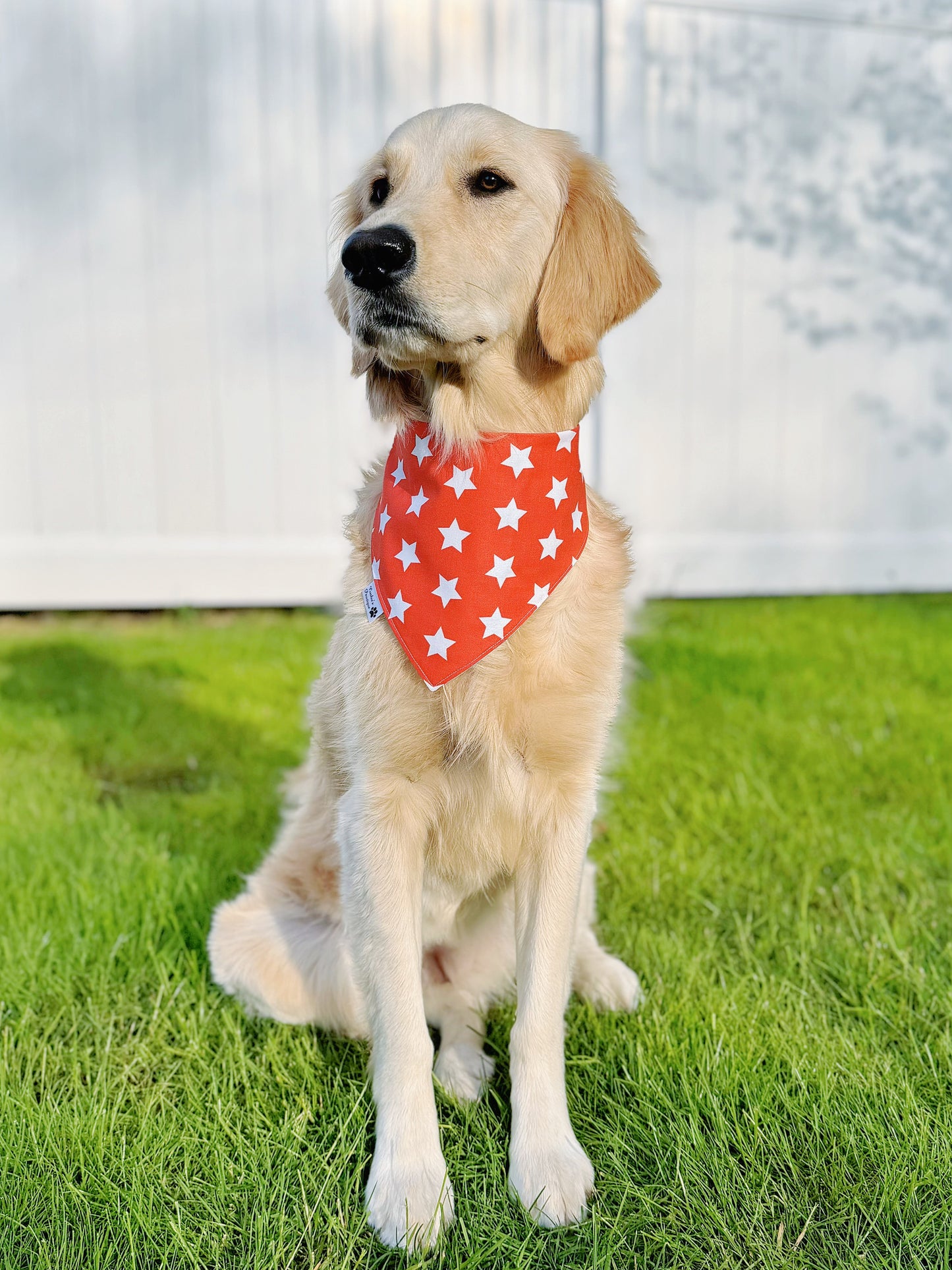 Patriotic Checkerboard And Red Stars Bandana