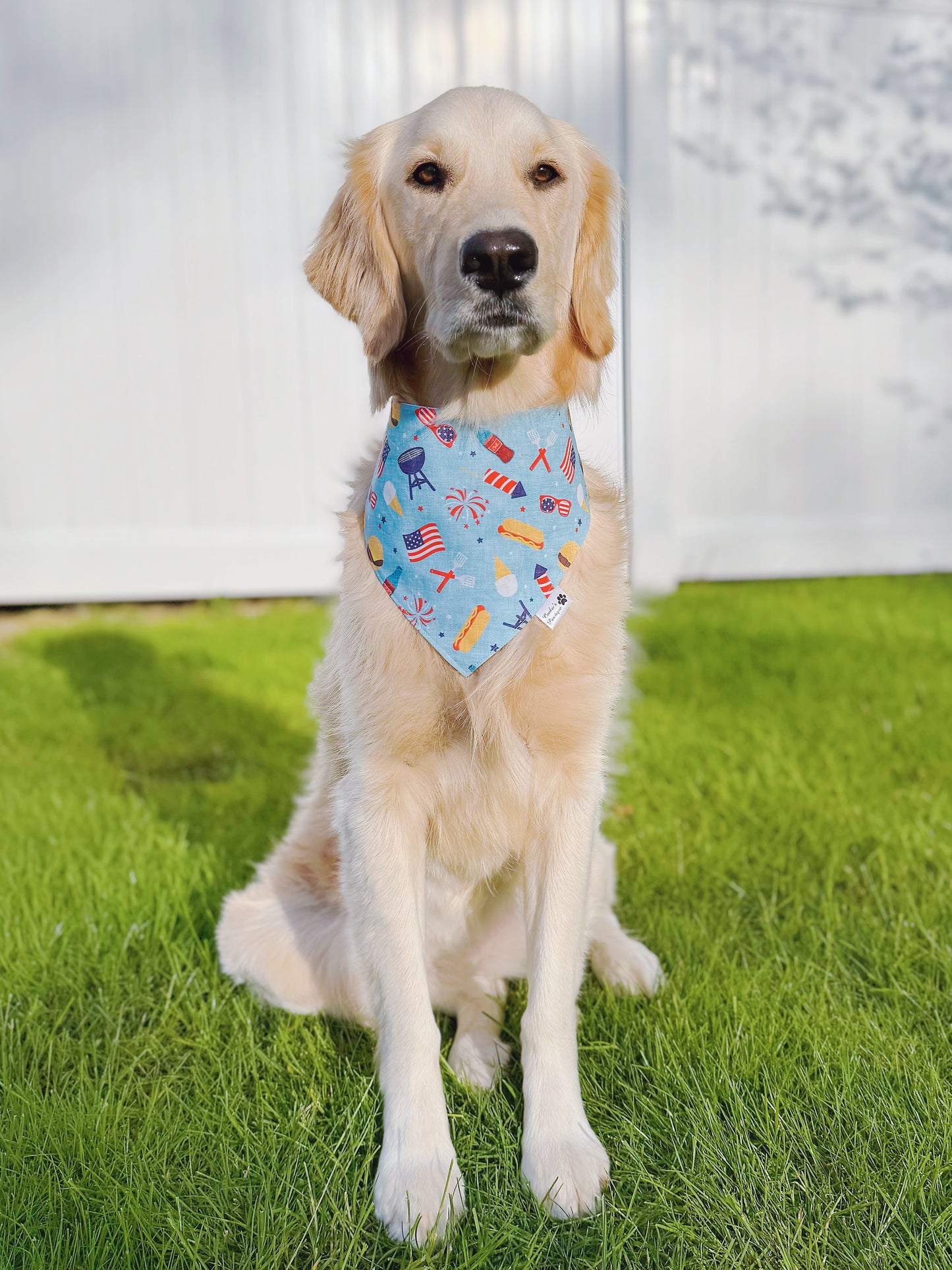 Party In The USA Bandana