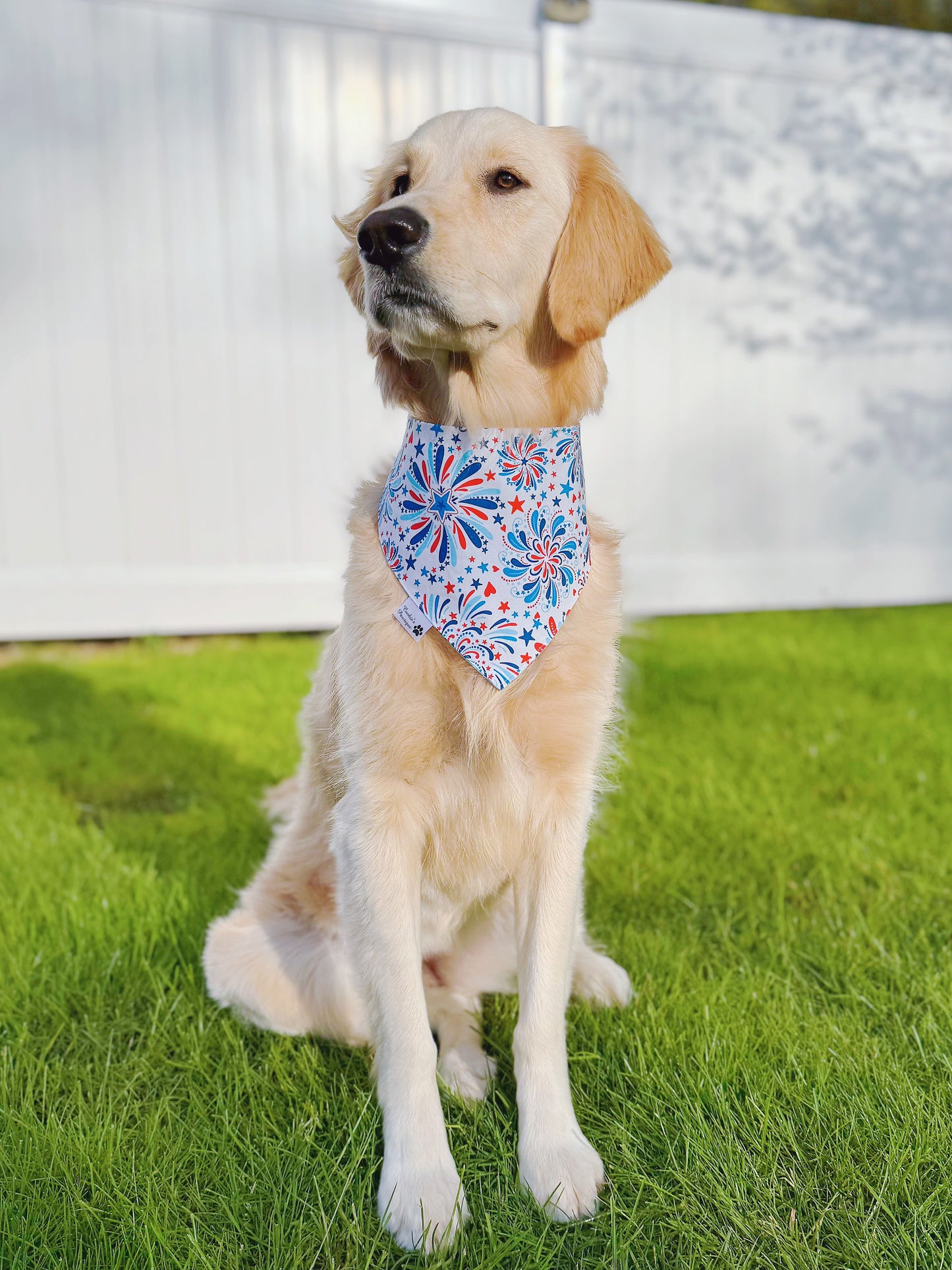 Party In The USA Bandana