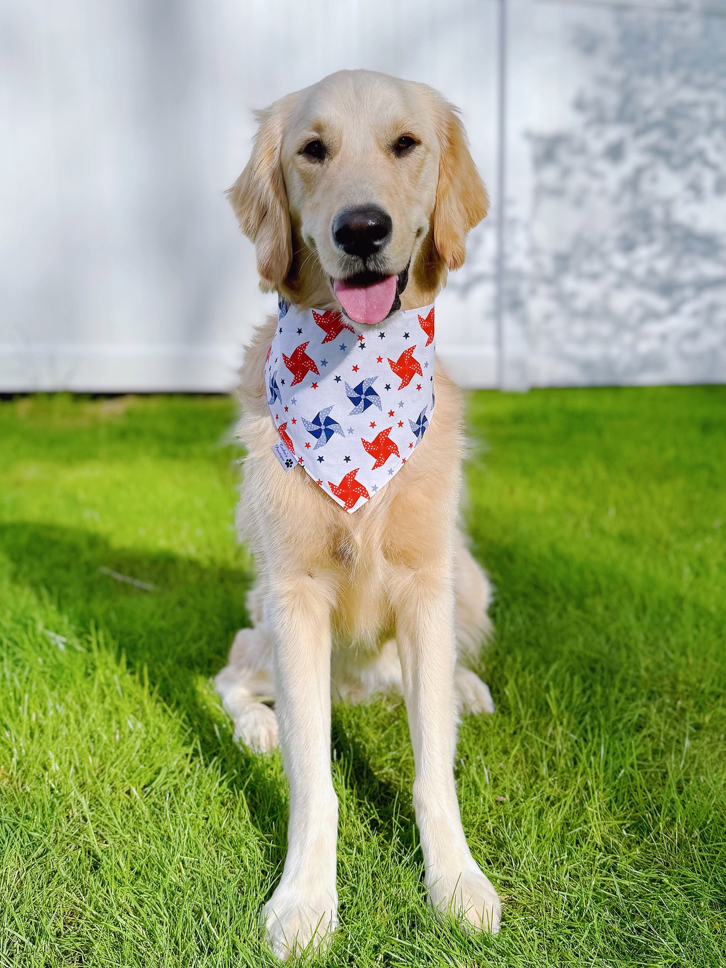 Patriotic Vintage Cars And Pinwheels Bandana