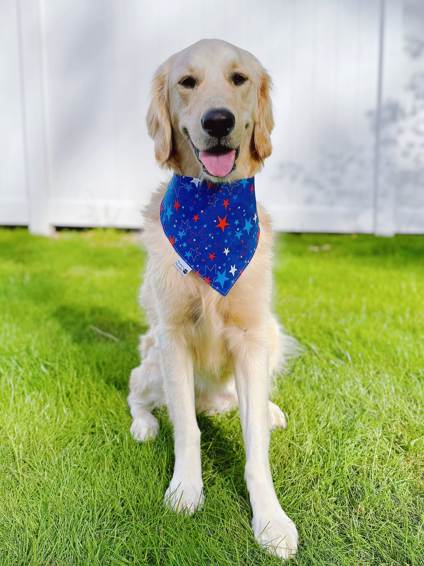 Patriotic Cowboy Bandana