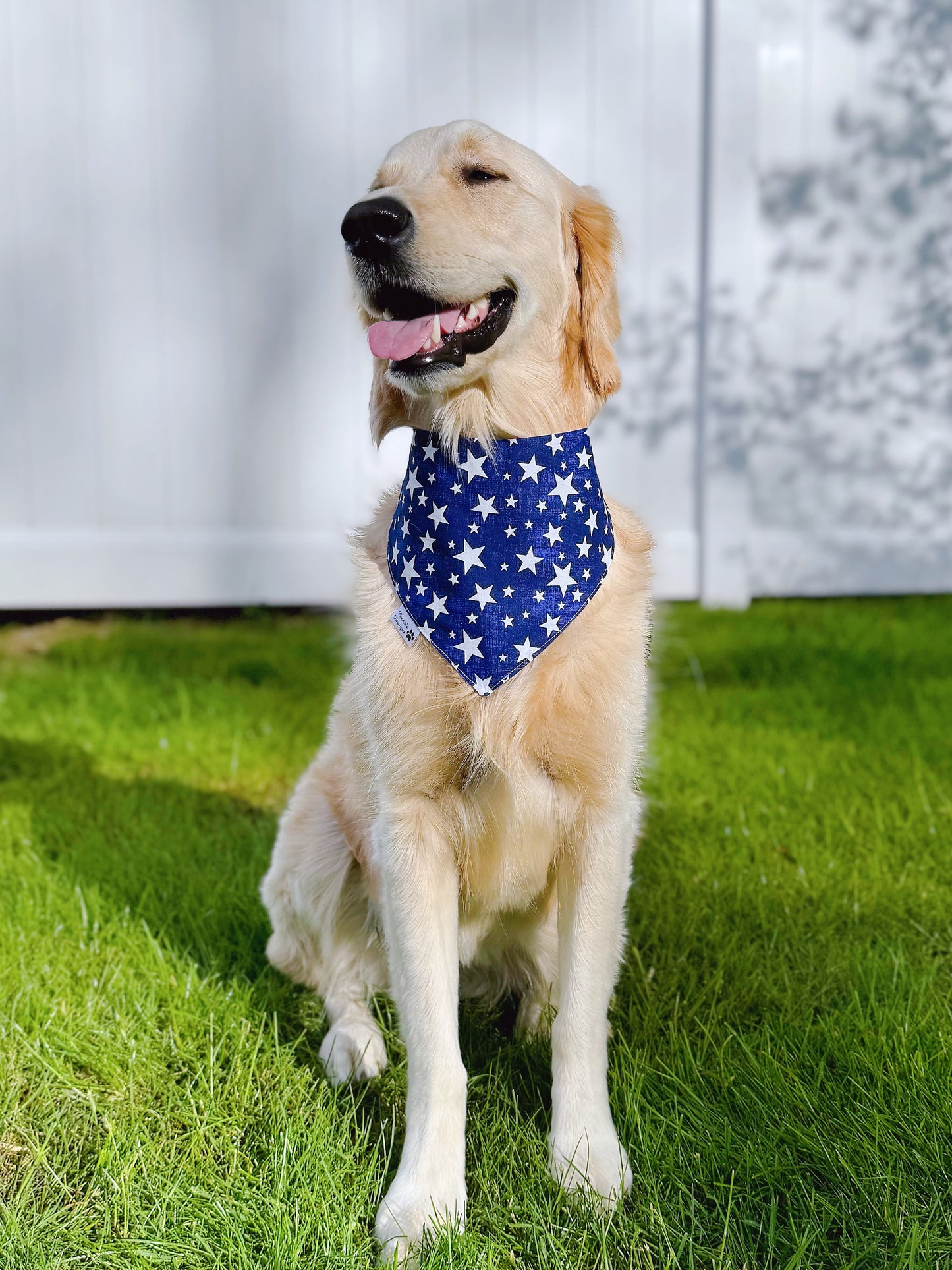 Patriotic Sharks And Stars Bandana