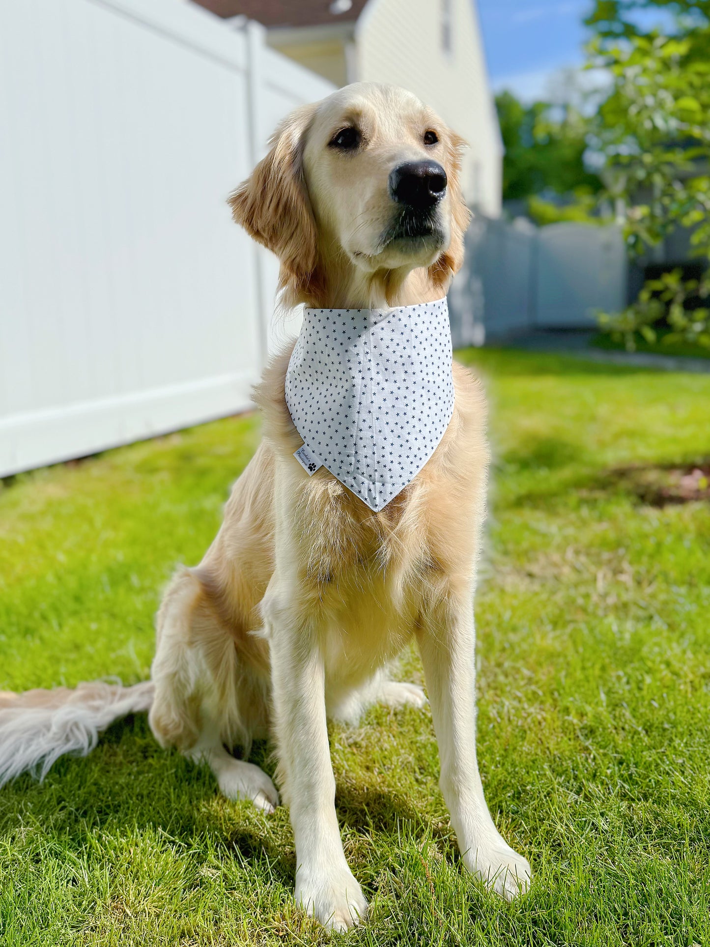Daddy Is My Hero Bandana