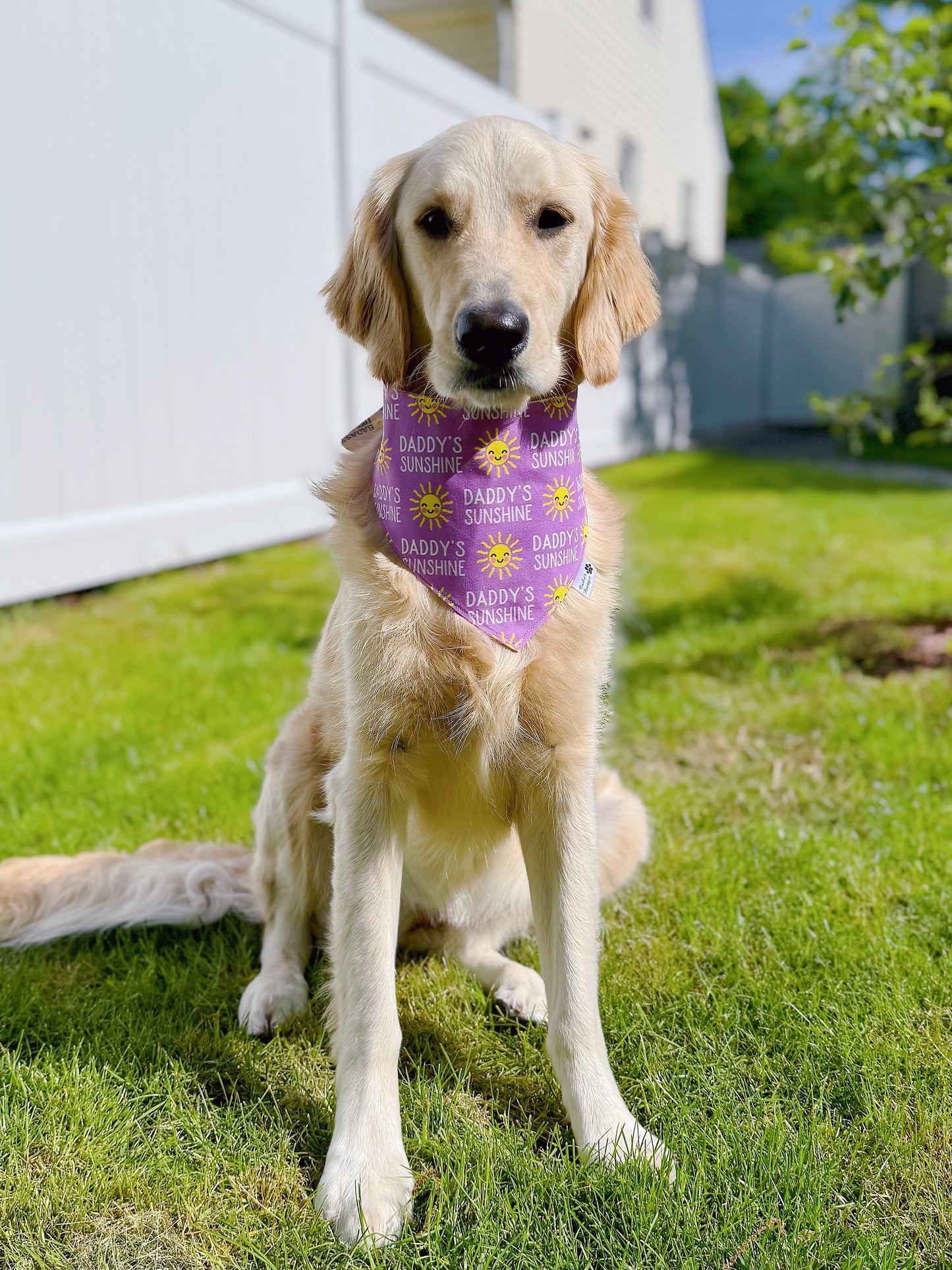 Daddy's Sunshine and Badass Like Dad Bandana - Purple