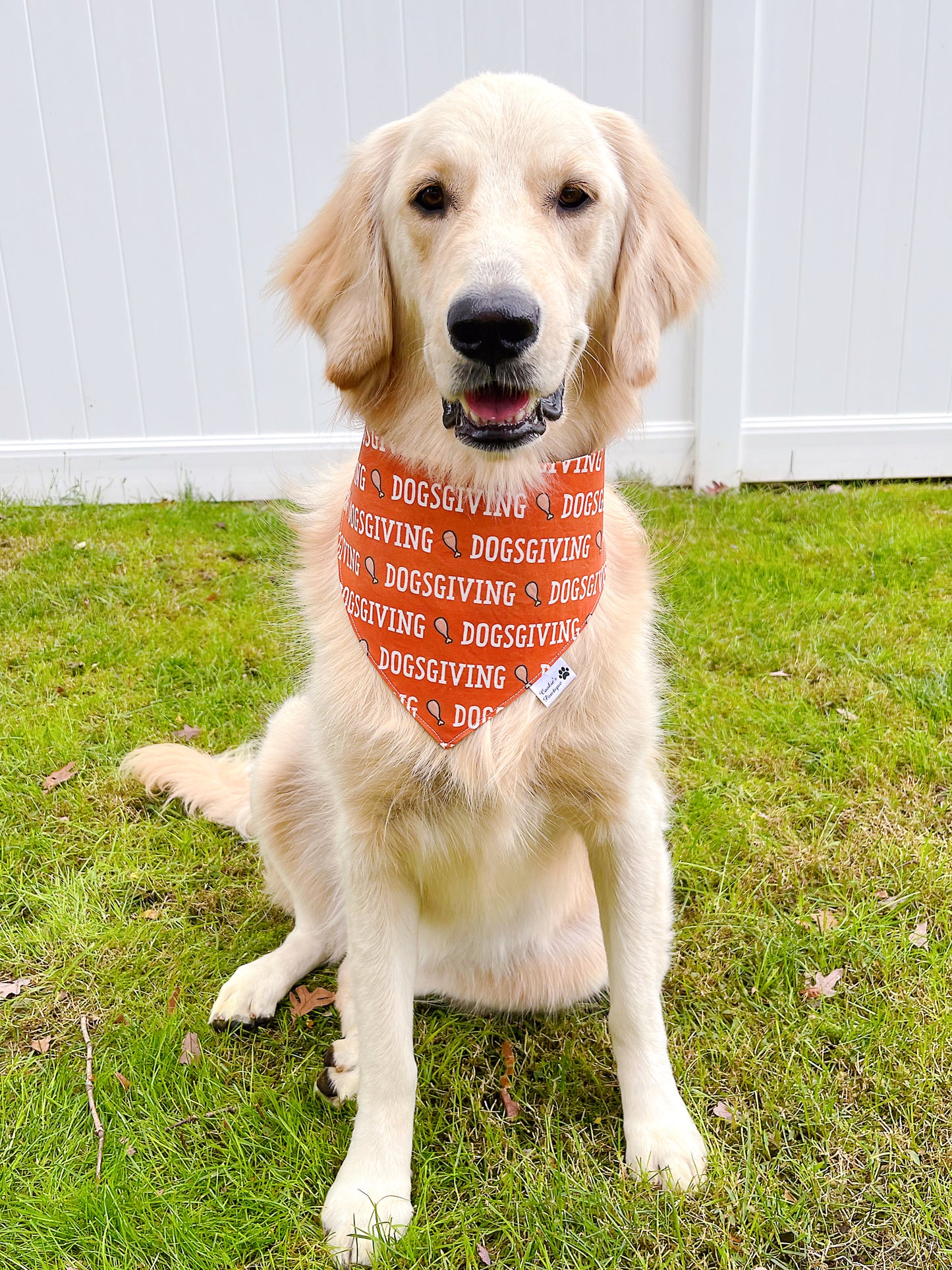 Dogsgiving and Doggy Egg Nog Bandana