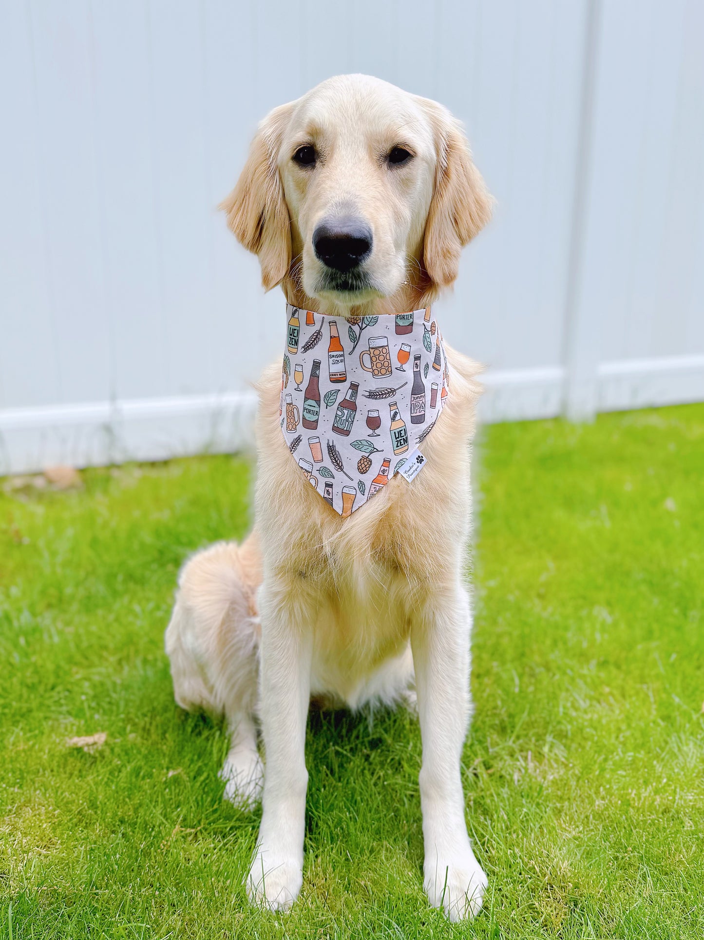 Craft Beer Bandana