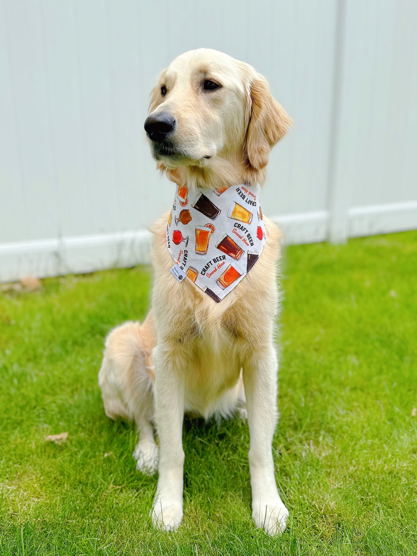 Craft Beer Bandana